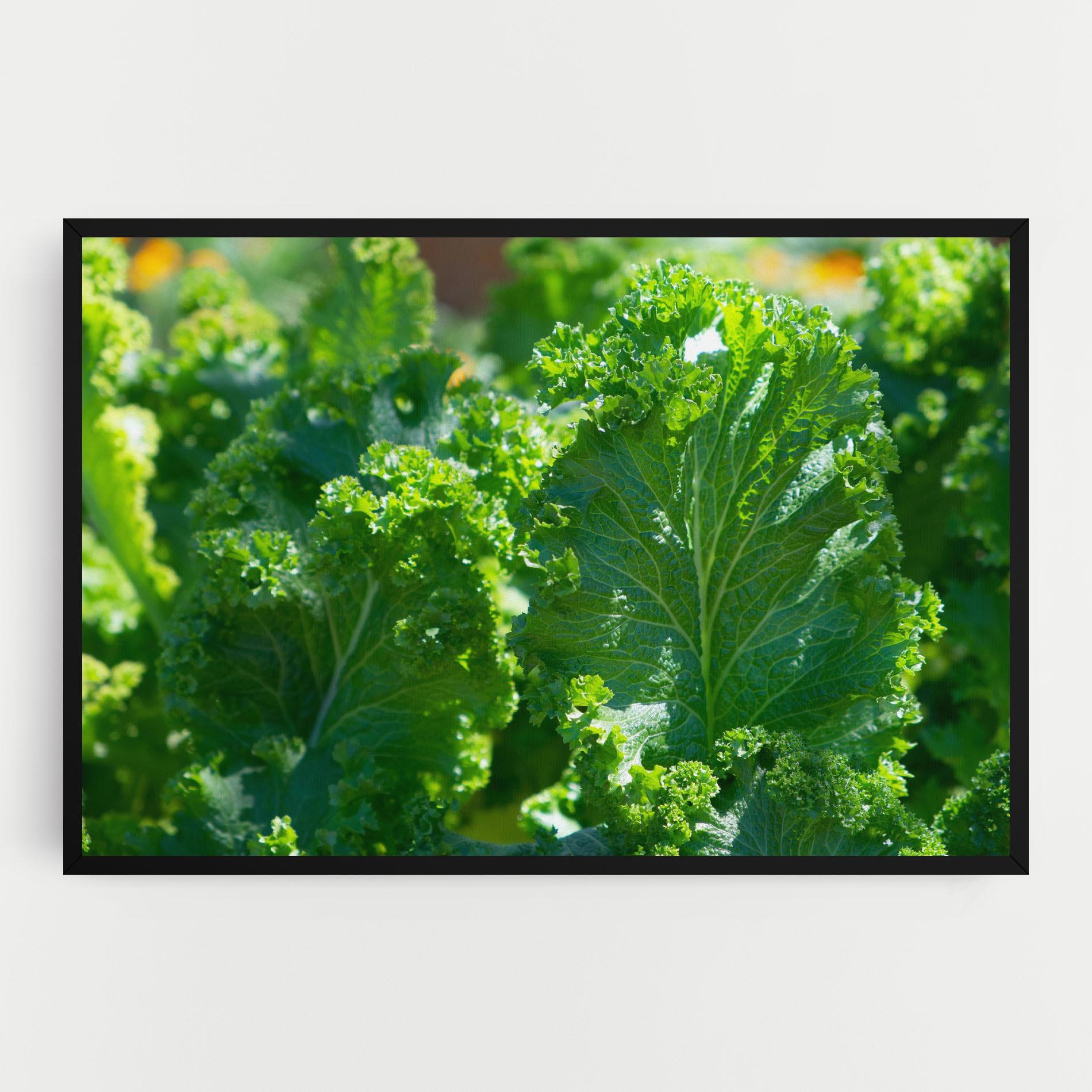 Картина на платно Lettuce View mockup 0