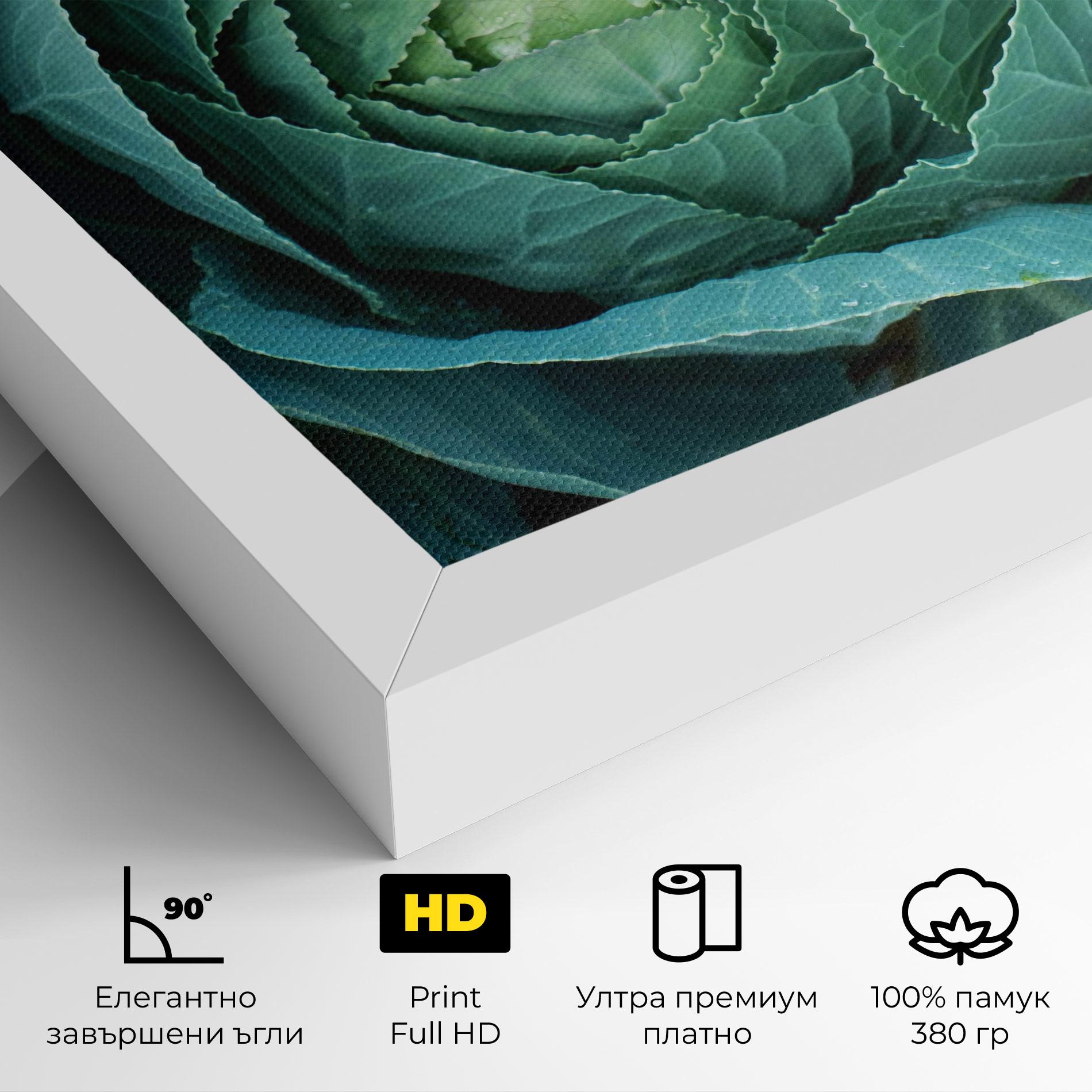 Картина на платно Blue Lettuce mockup 4