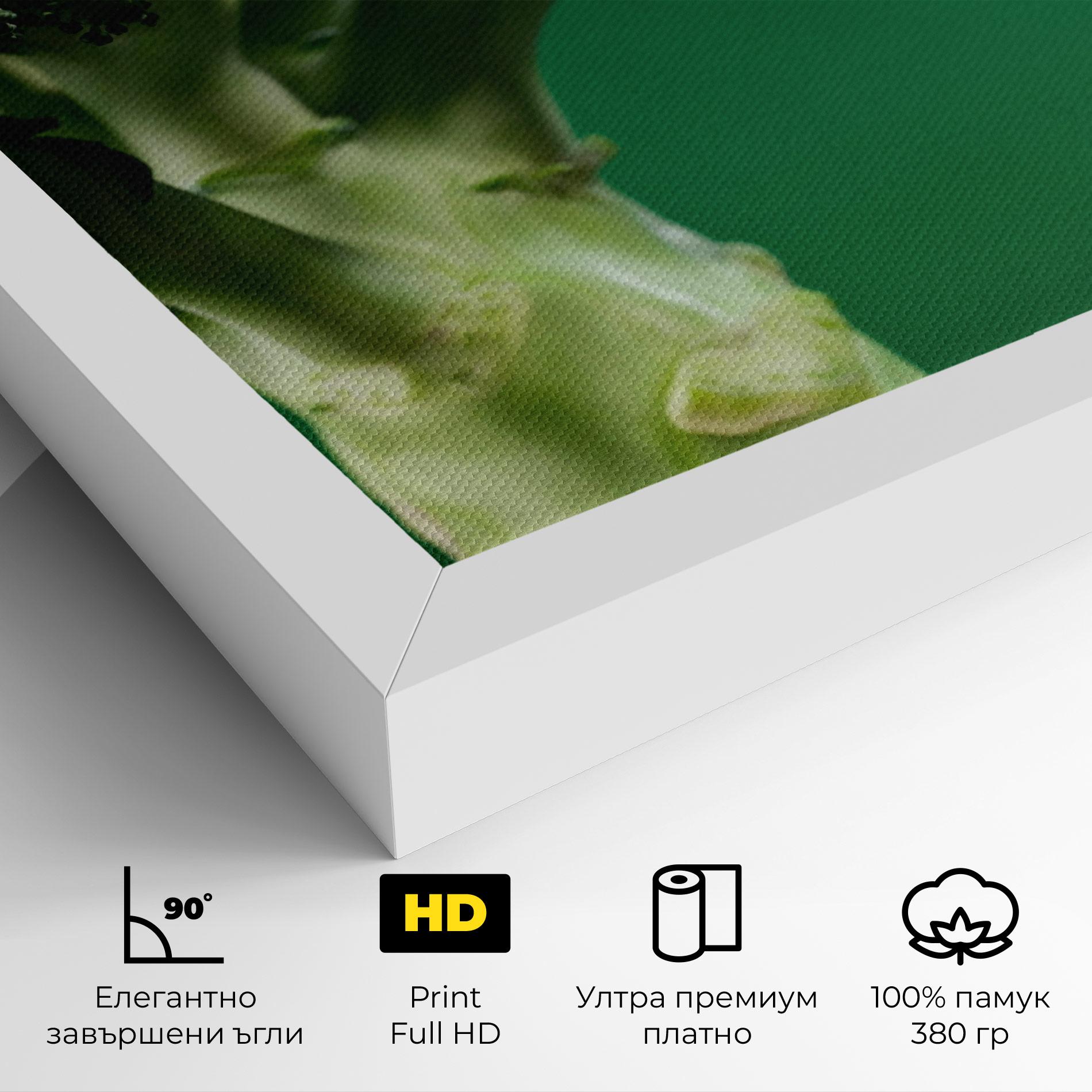 Картина на платно Broccoli mockup 4