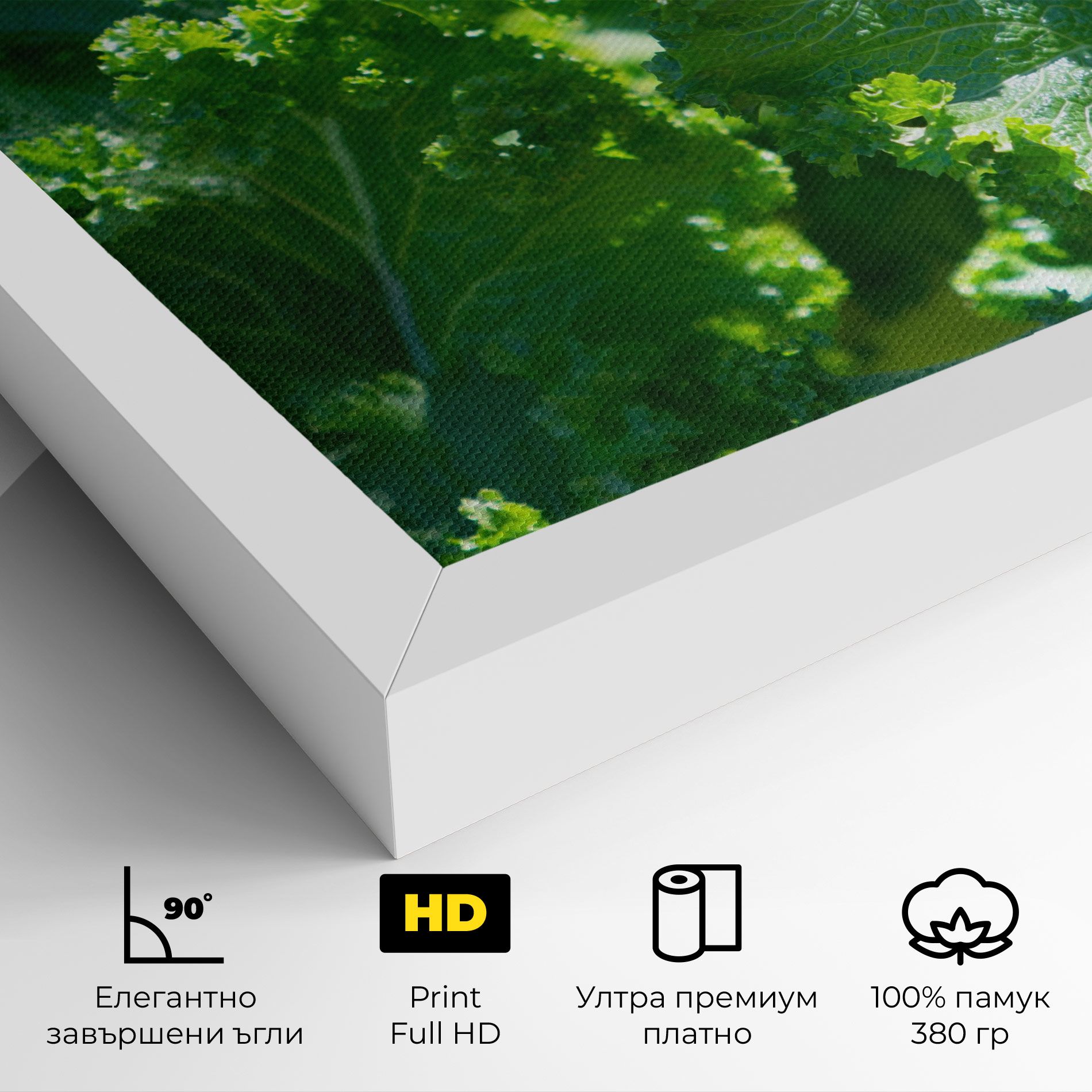 Lettuce View mockup 4