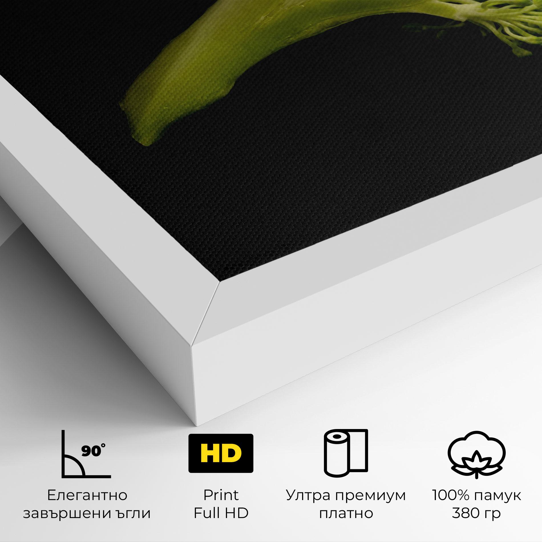 Картина на платно Nice Broccoli mockup 4