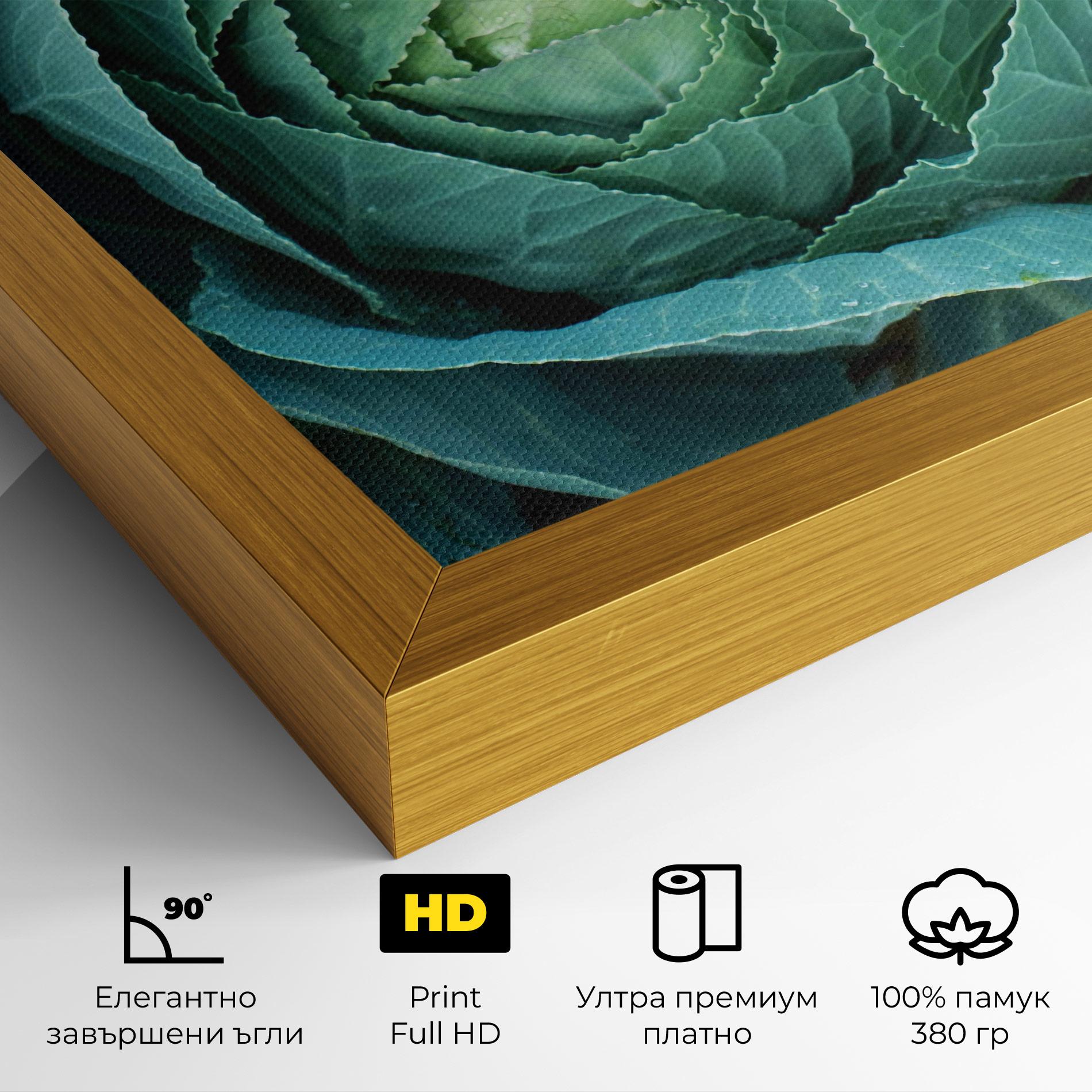 Картина на платно Blue Lettuce mockup 4