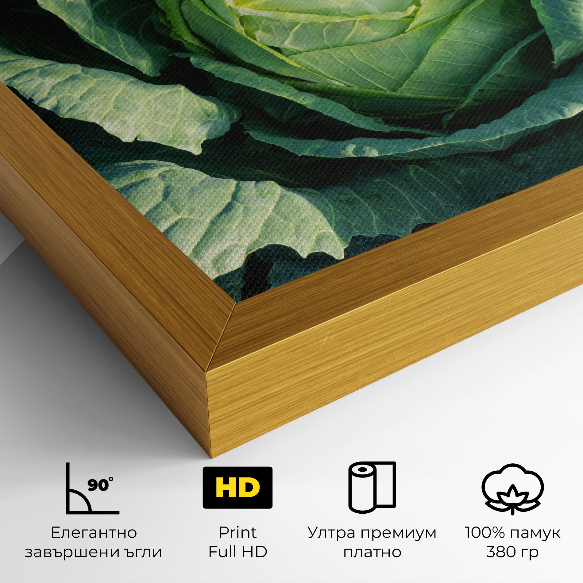 Green Lettuce mockup 4