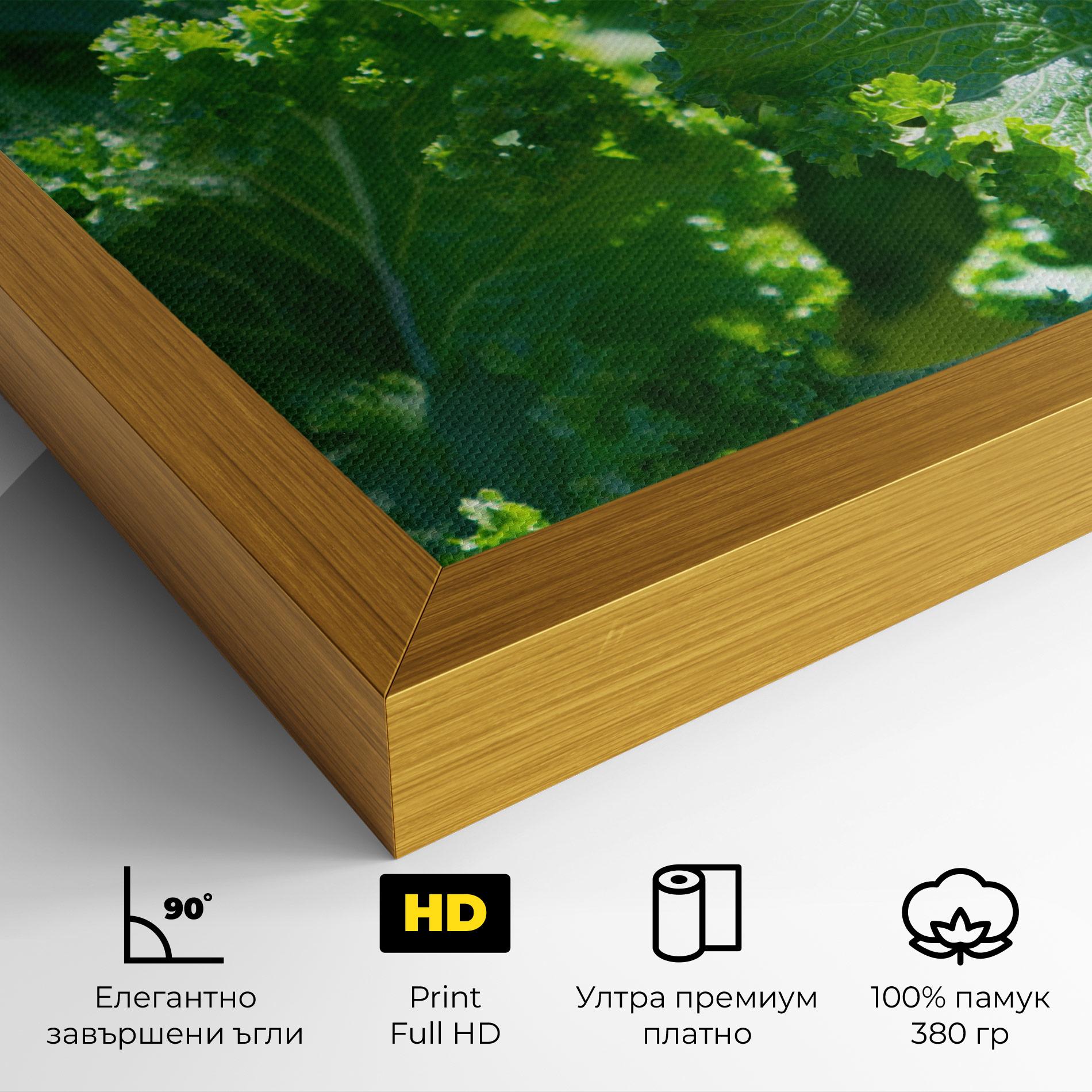 Картина на платно Lettuce View mockup 4