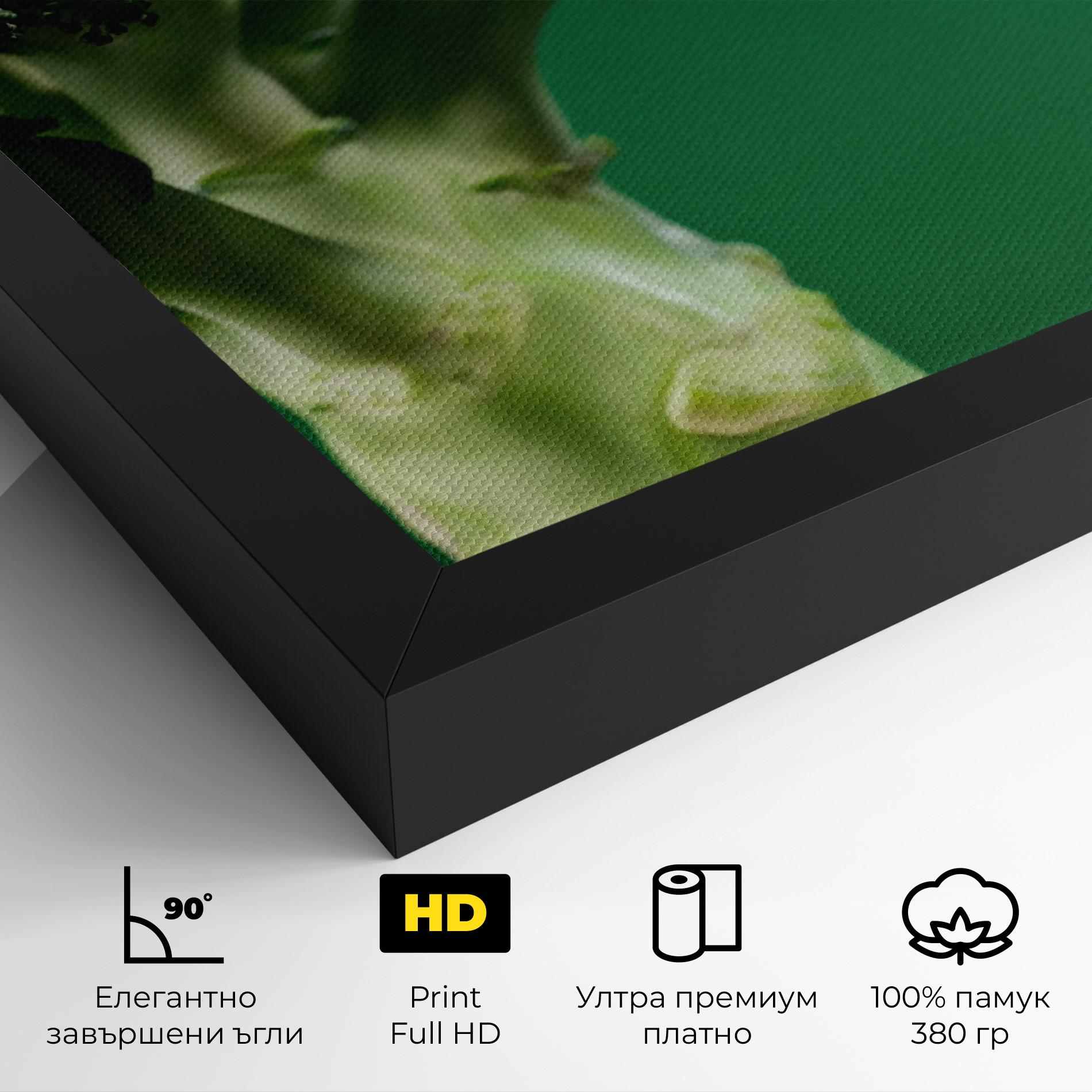 Картина на платно Broccoli mockup 4