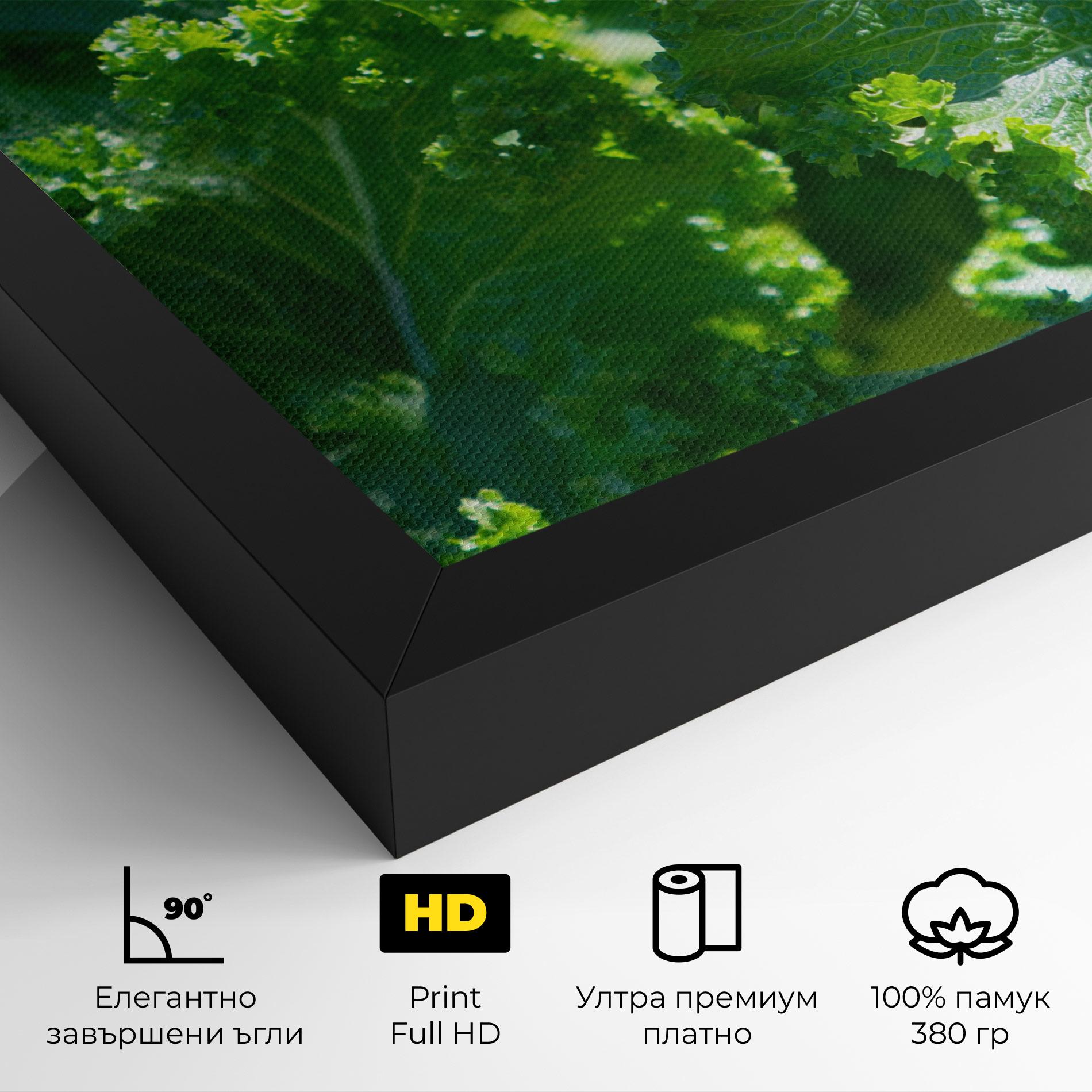 Картина на платно Lettuce View mockup 4