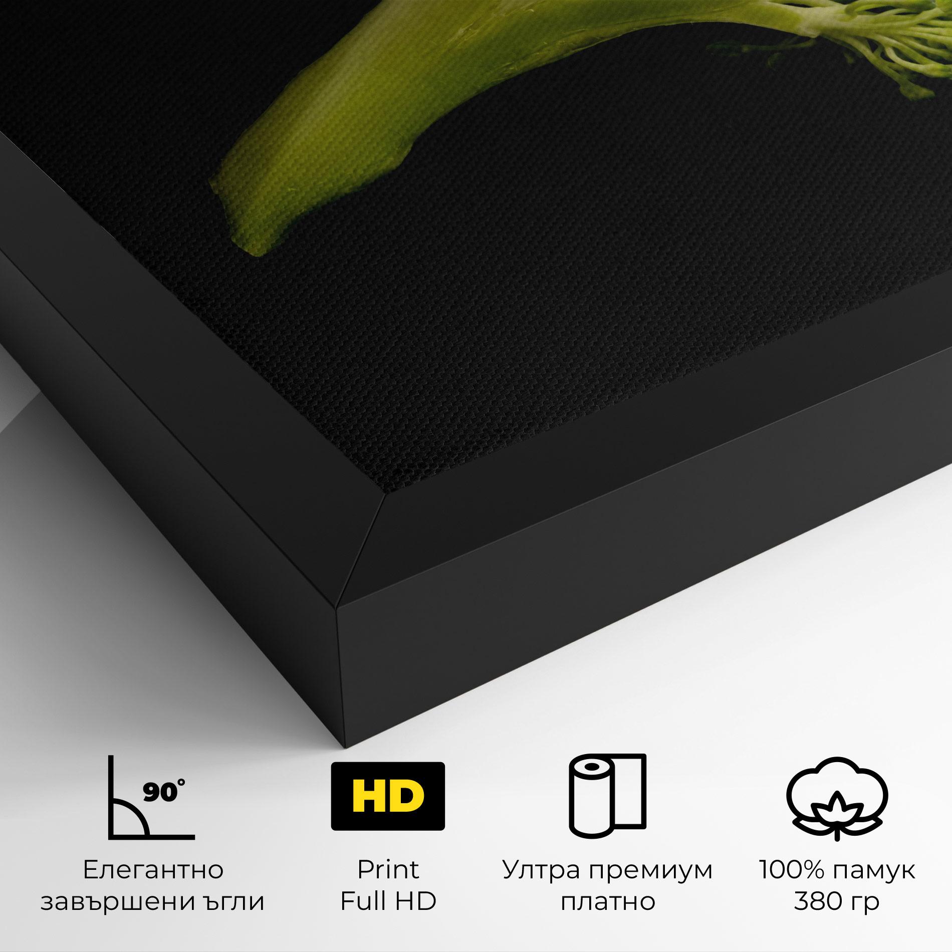 Картина на платно Nice Broccoli mockup 4