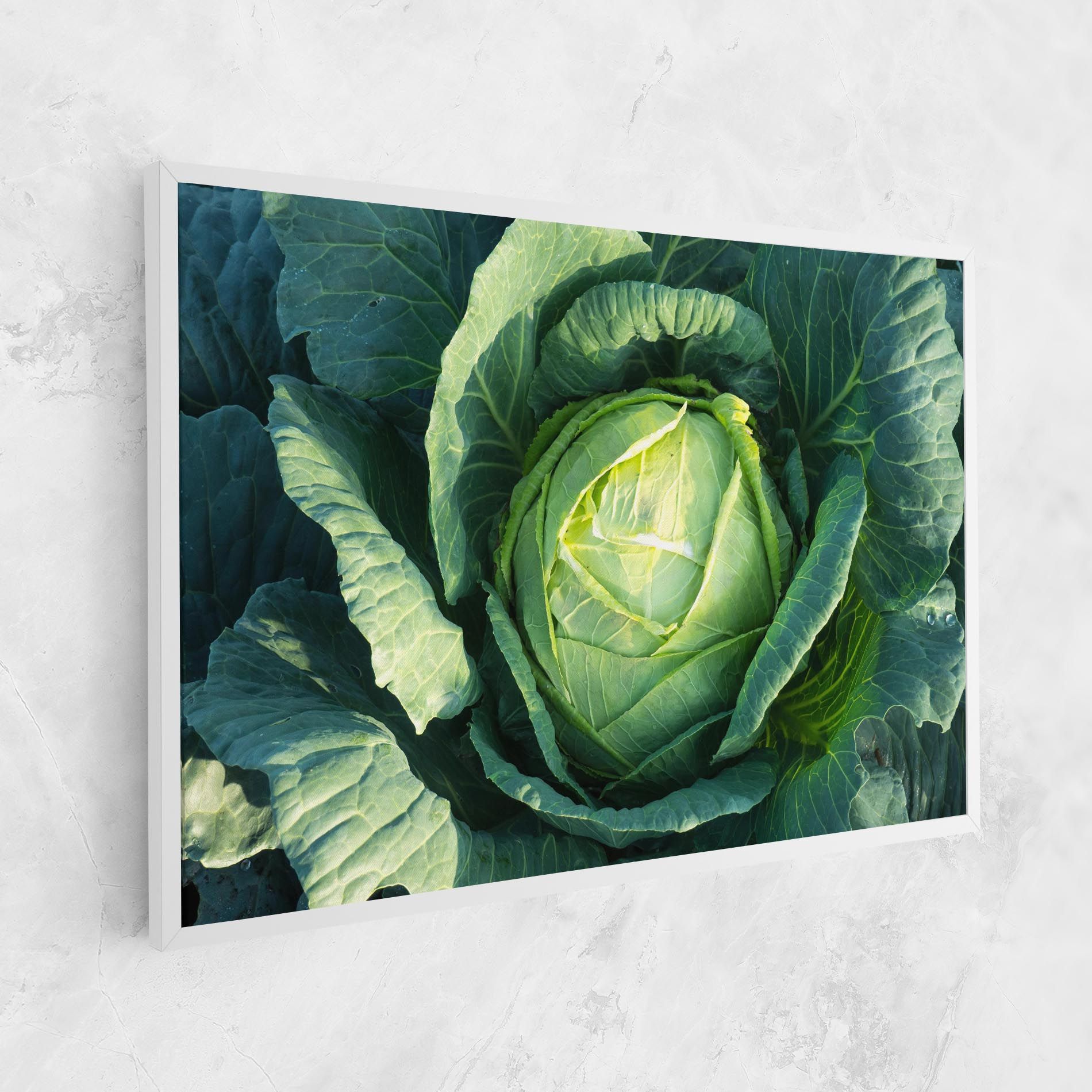 Green Lettuce mockup 1