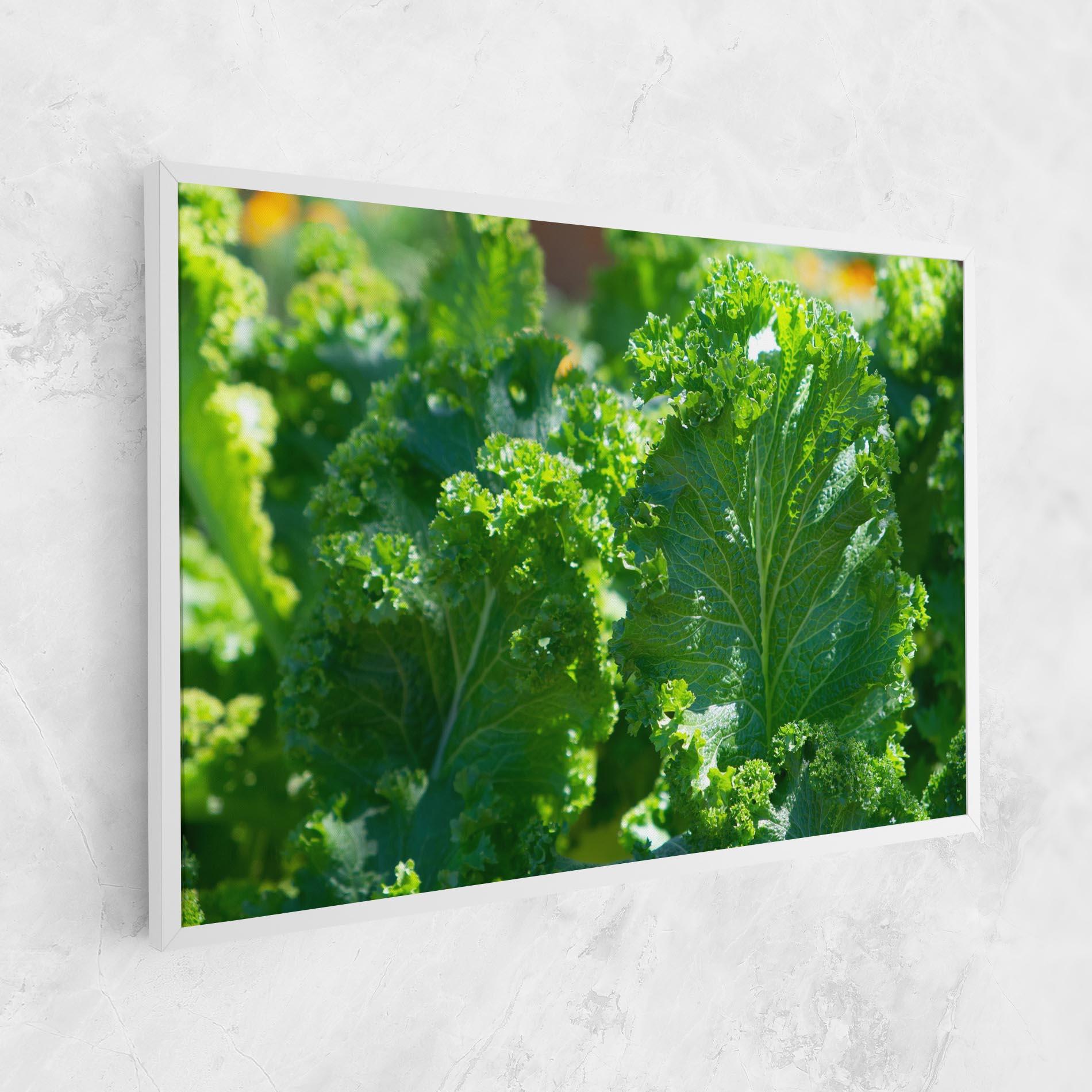 Картина на платно Lettuce View mockup 1
