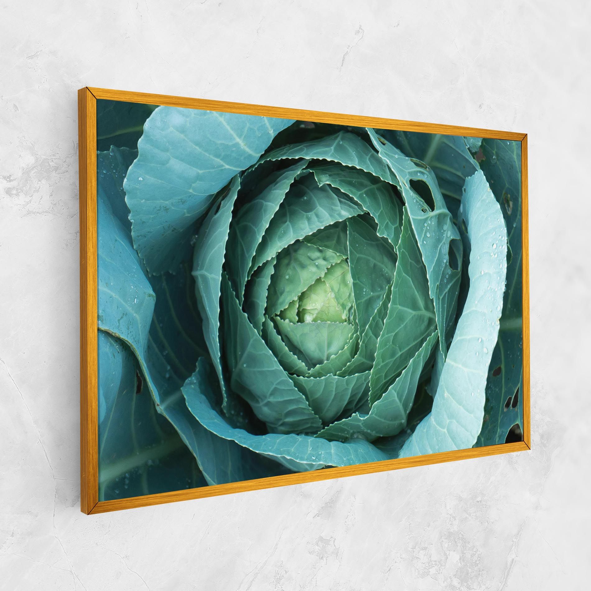 Blue Lettuce mockup 1