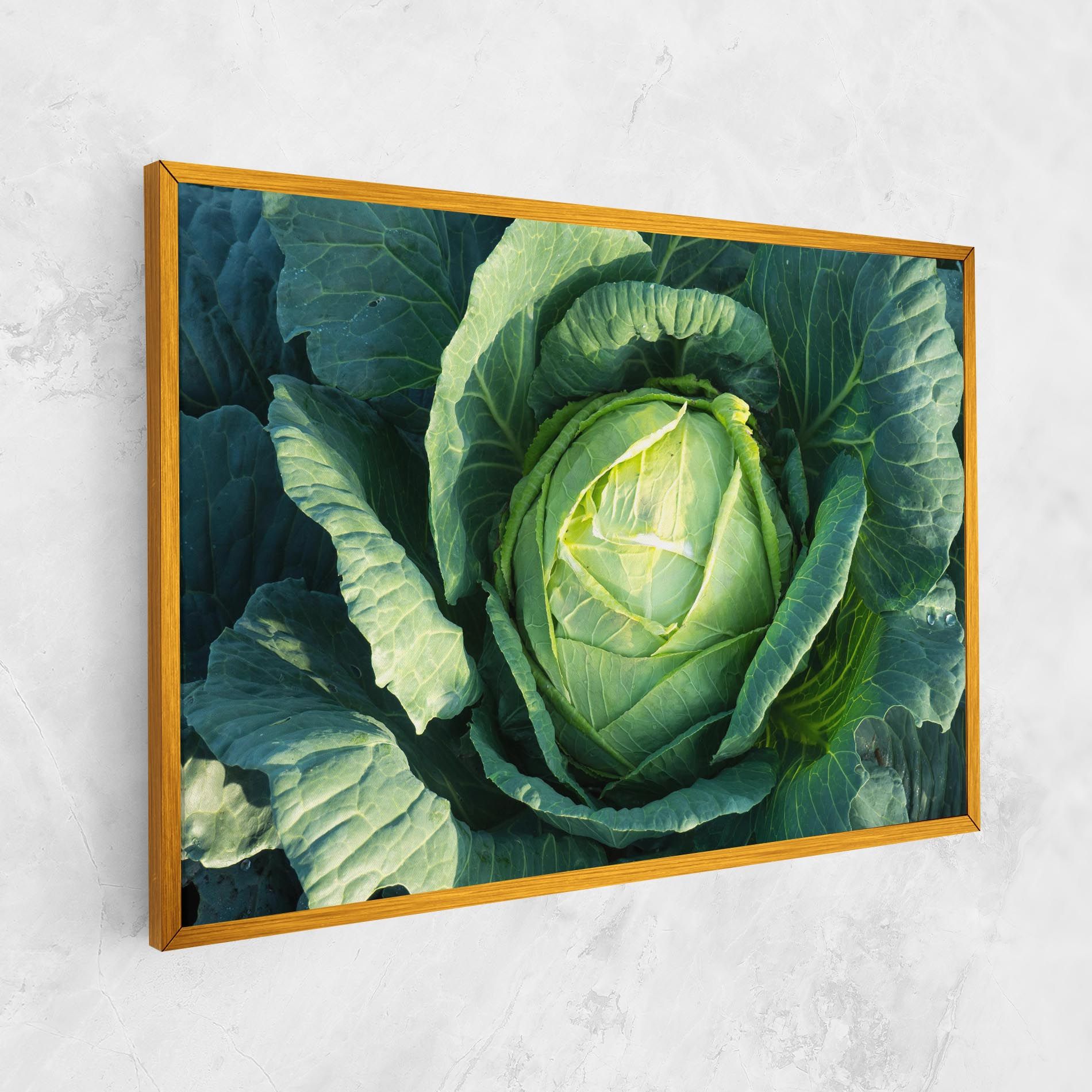Green Lettuce mockup 1