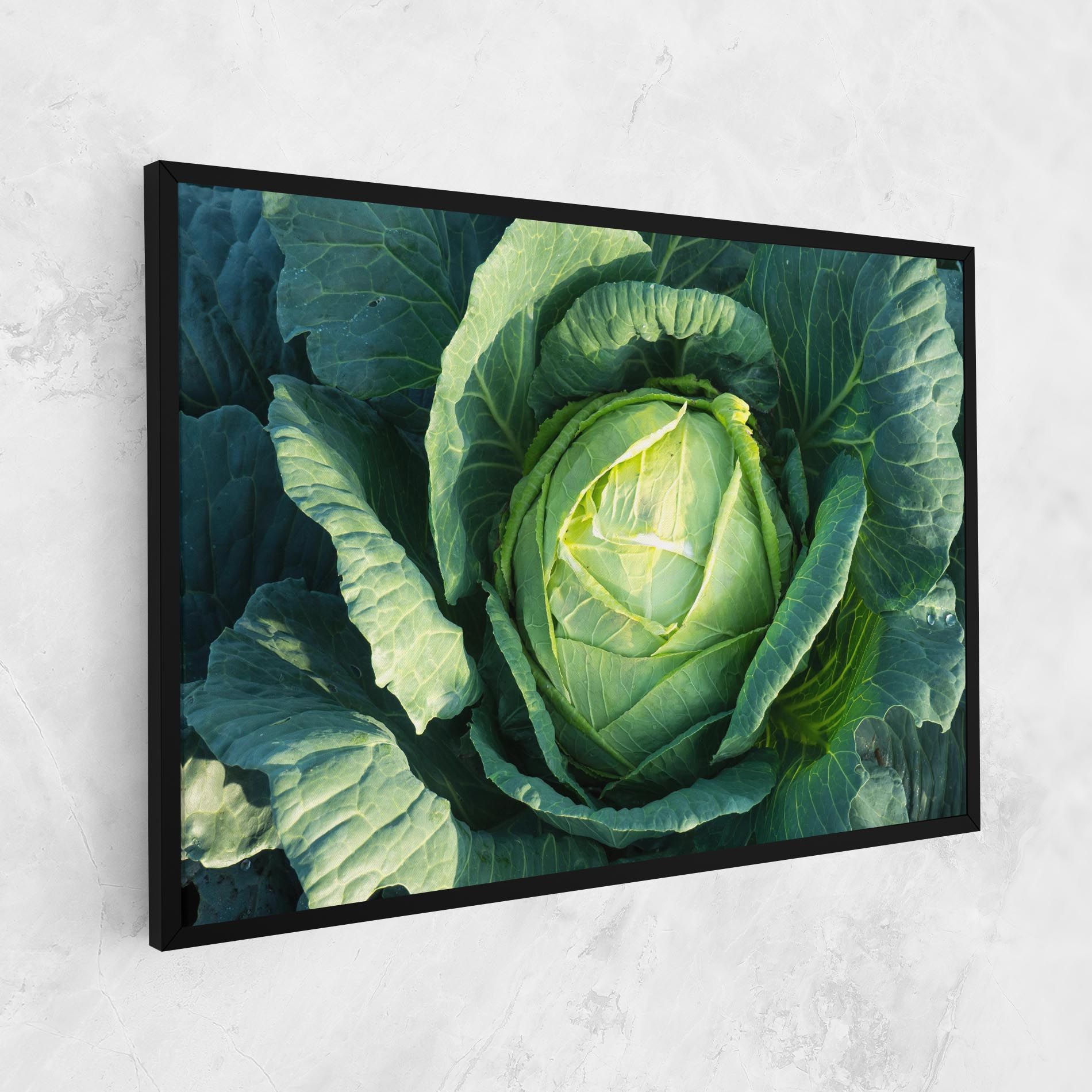 Green Lettuce mockup 1