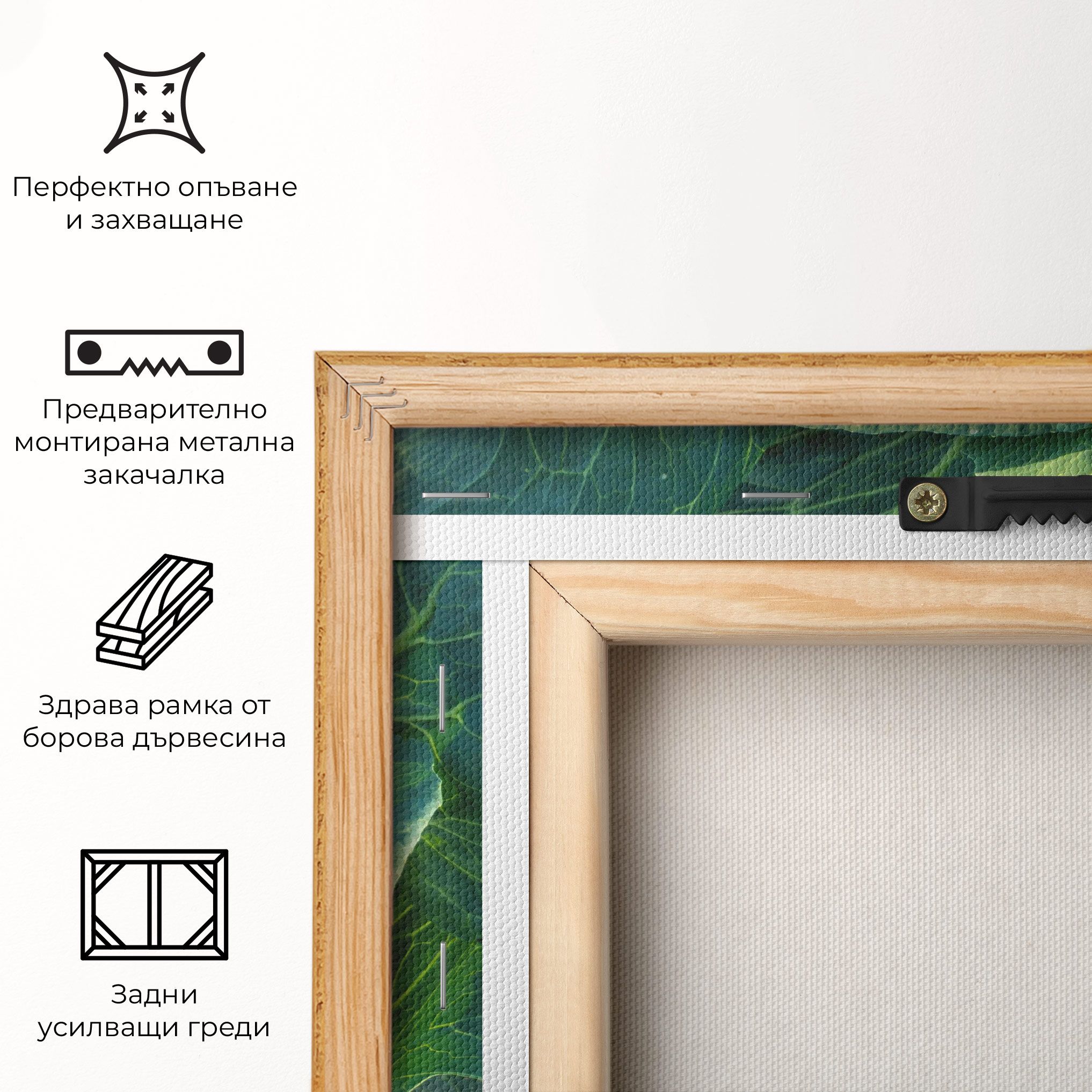 Green Lettuce mockup 5