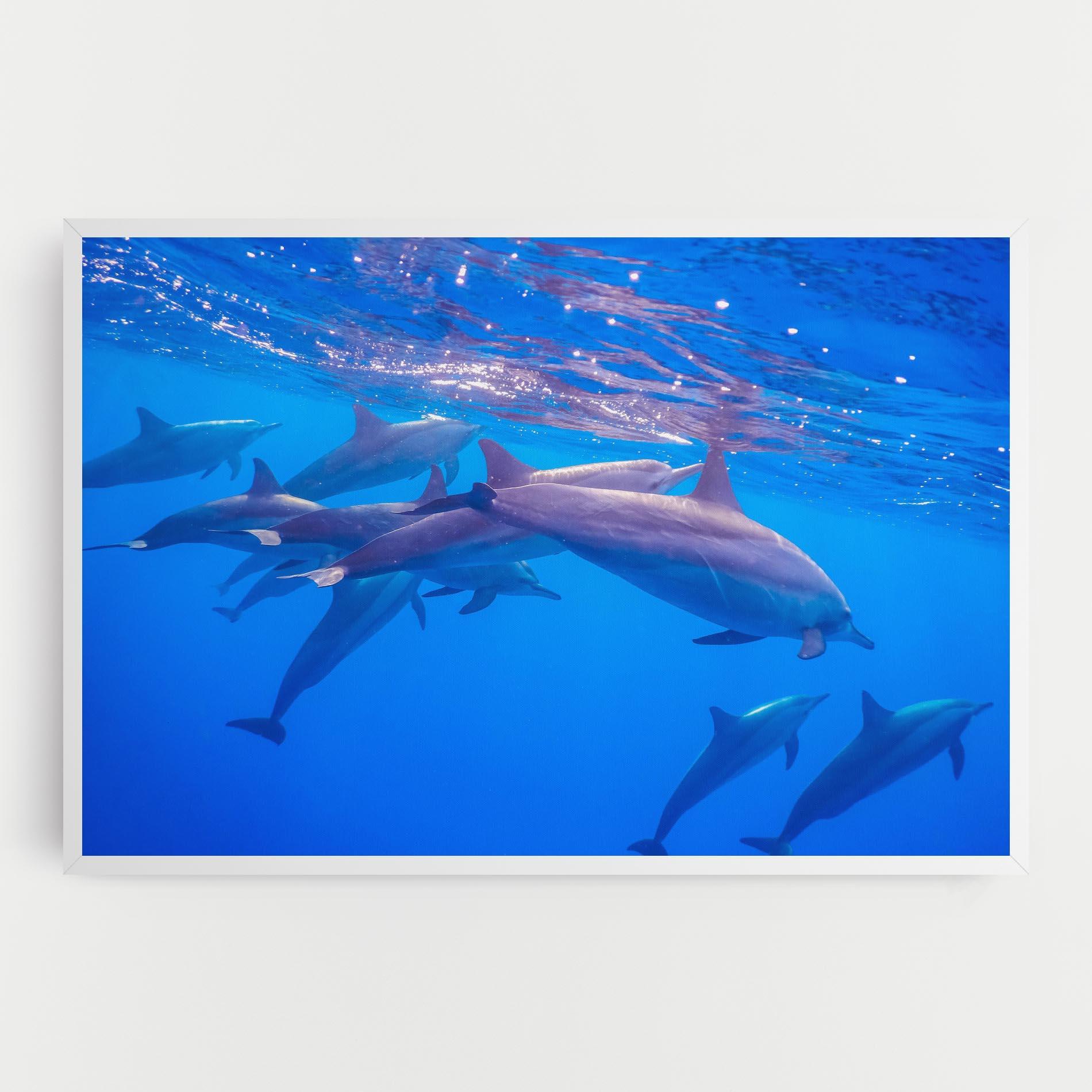 Картина на платно Dolphin Family mockup 0