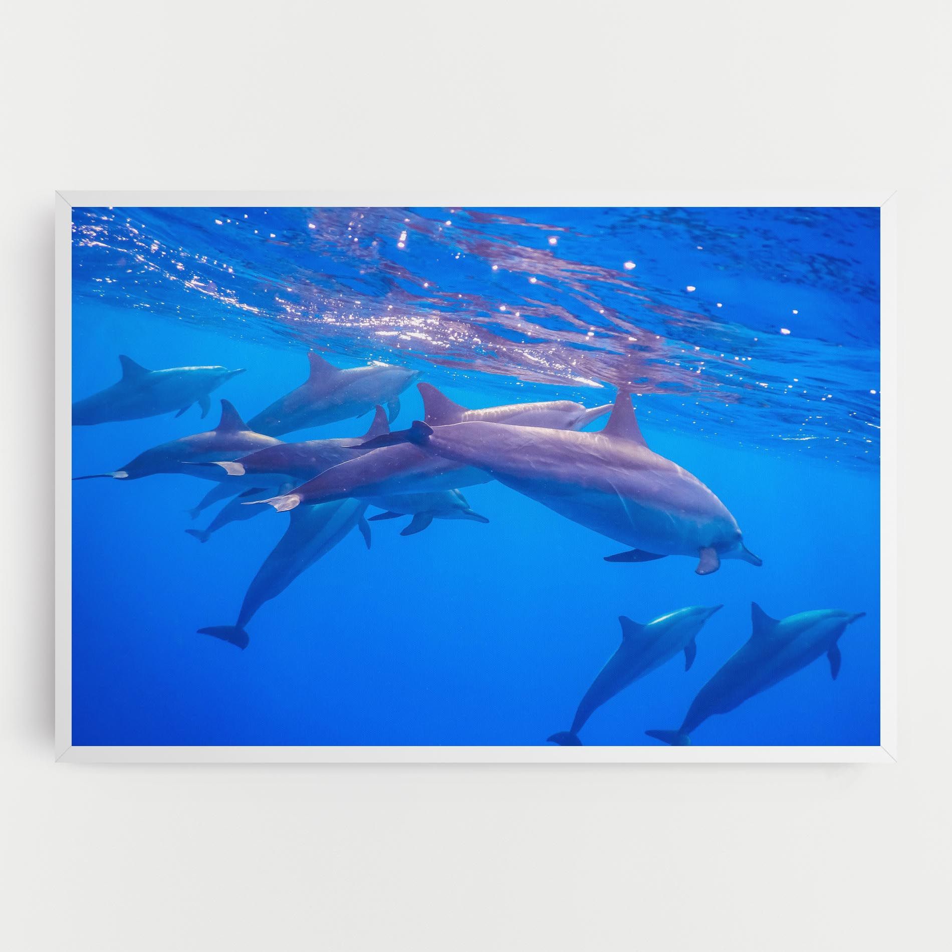 Dolphin Family mockup 0