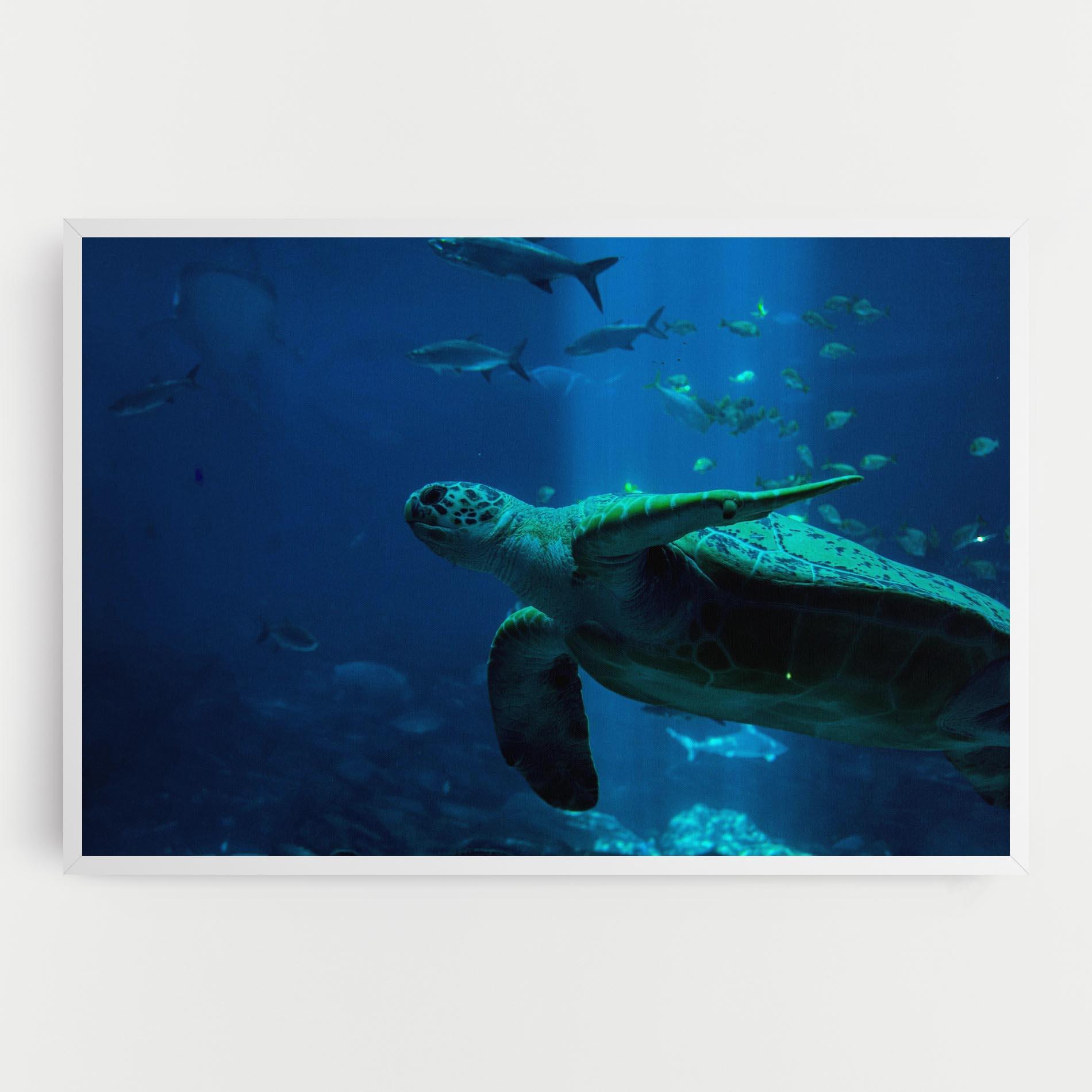 Картина на платно Green Turtule mockup 0