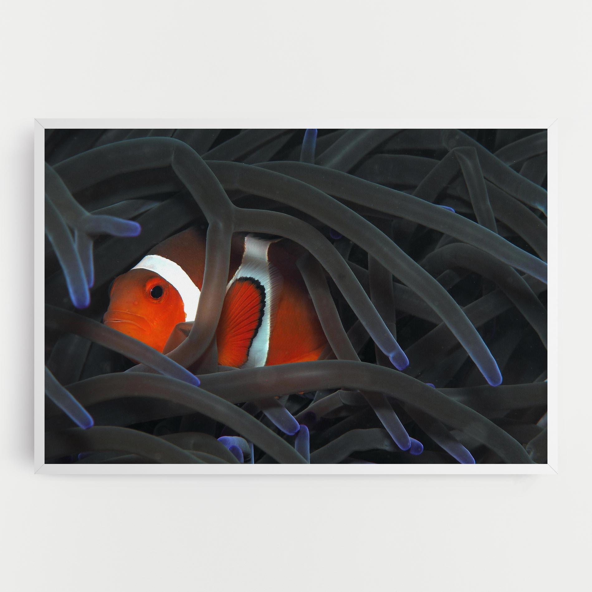 Картина на платно Nemo Hiding mockup 0