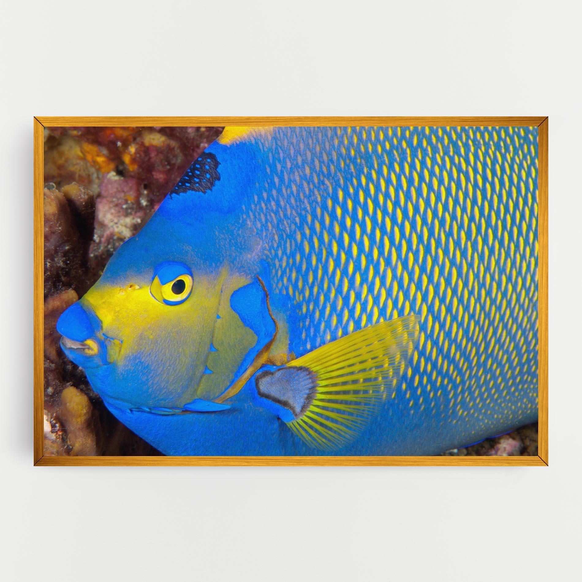Картина на платно Blue Yellow Fish mockup 0