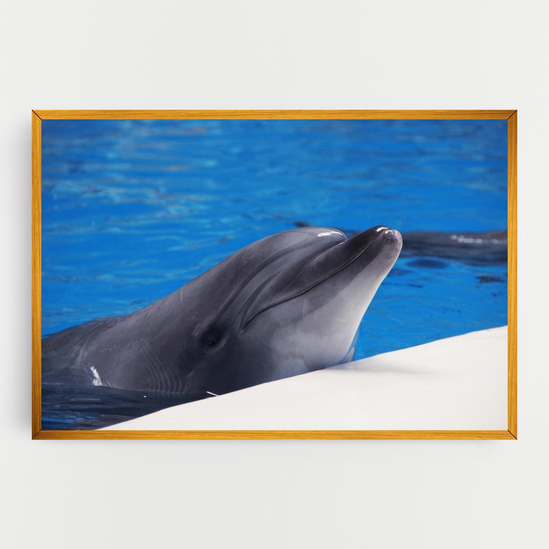 Картина на платно Cute Dolphin mockup 0