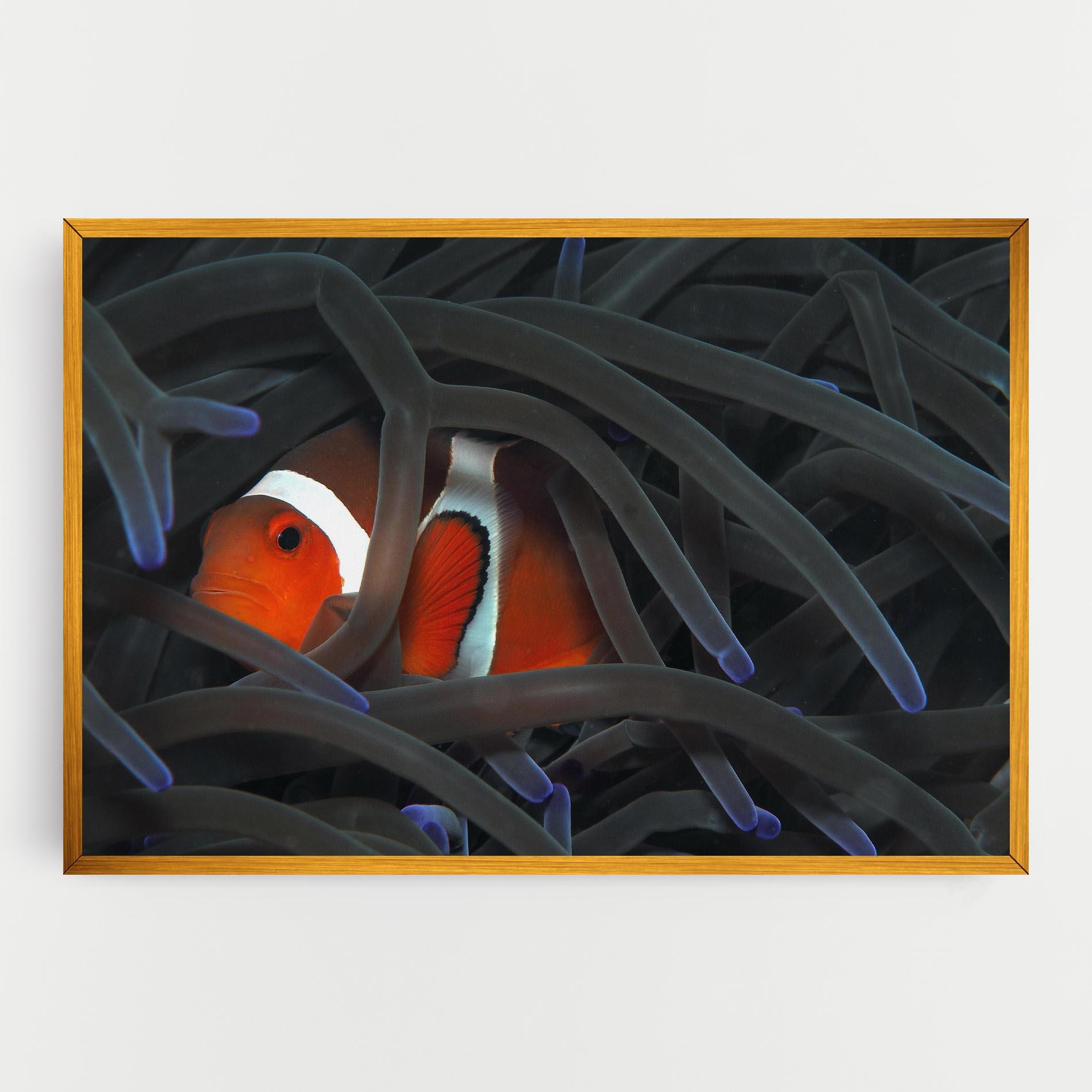 Картина на платно Nemo Hiding mockup 0