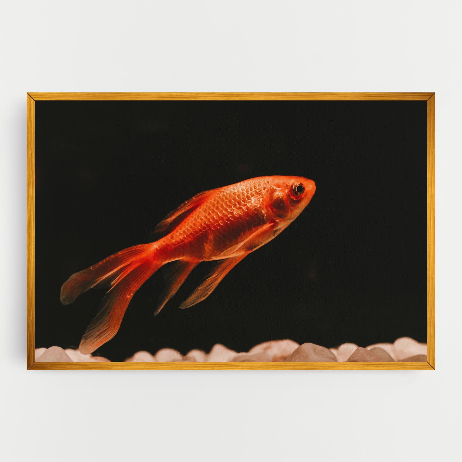 Картина на платно Small Orange Fish mockup 0
