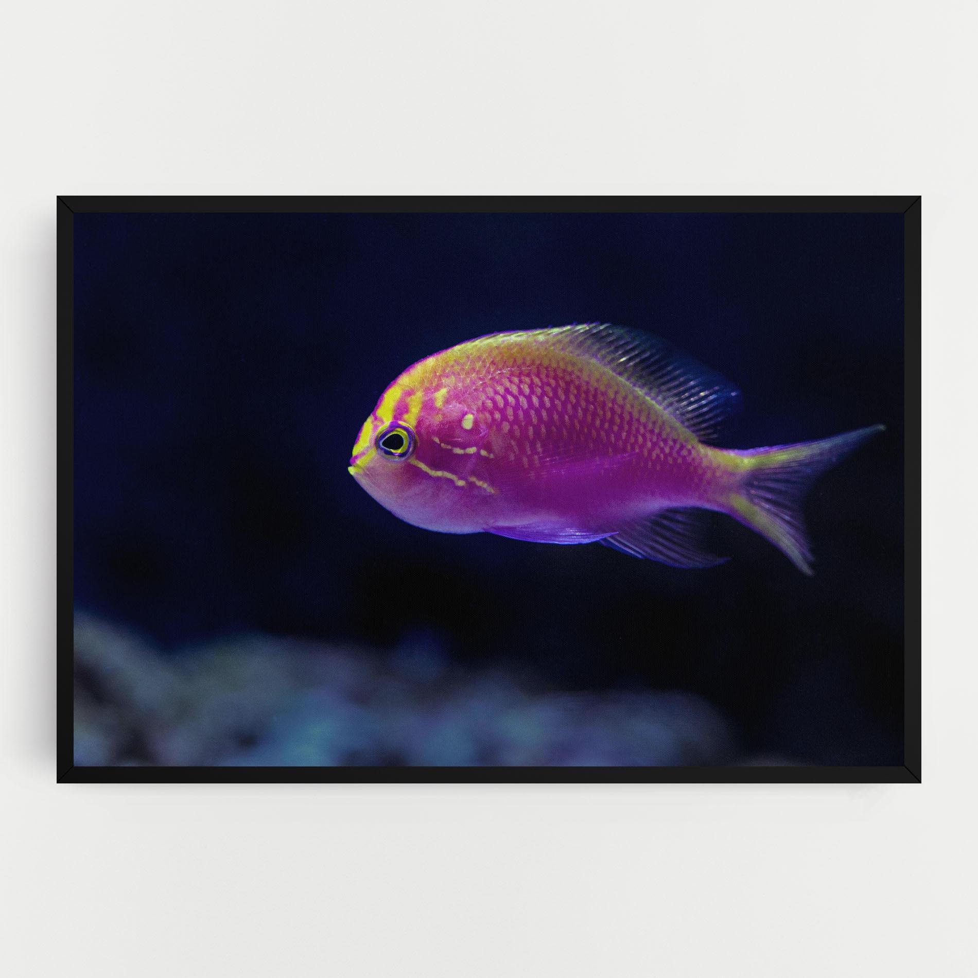 Картина на платно Angry Pink Fish mockup 0