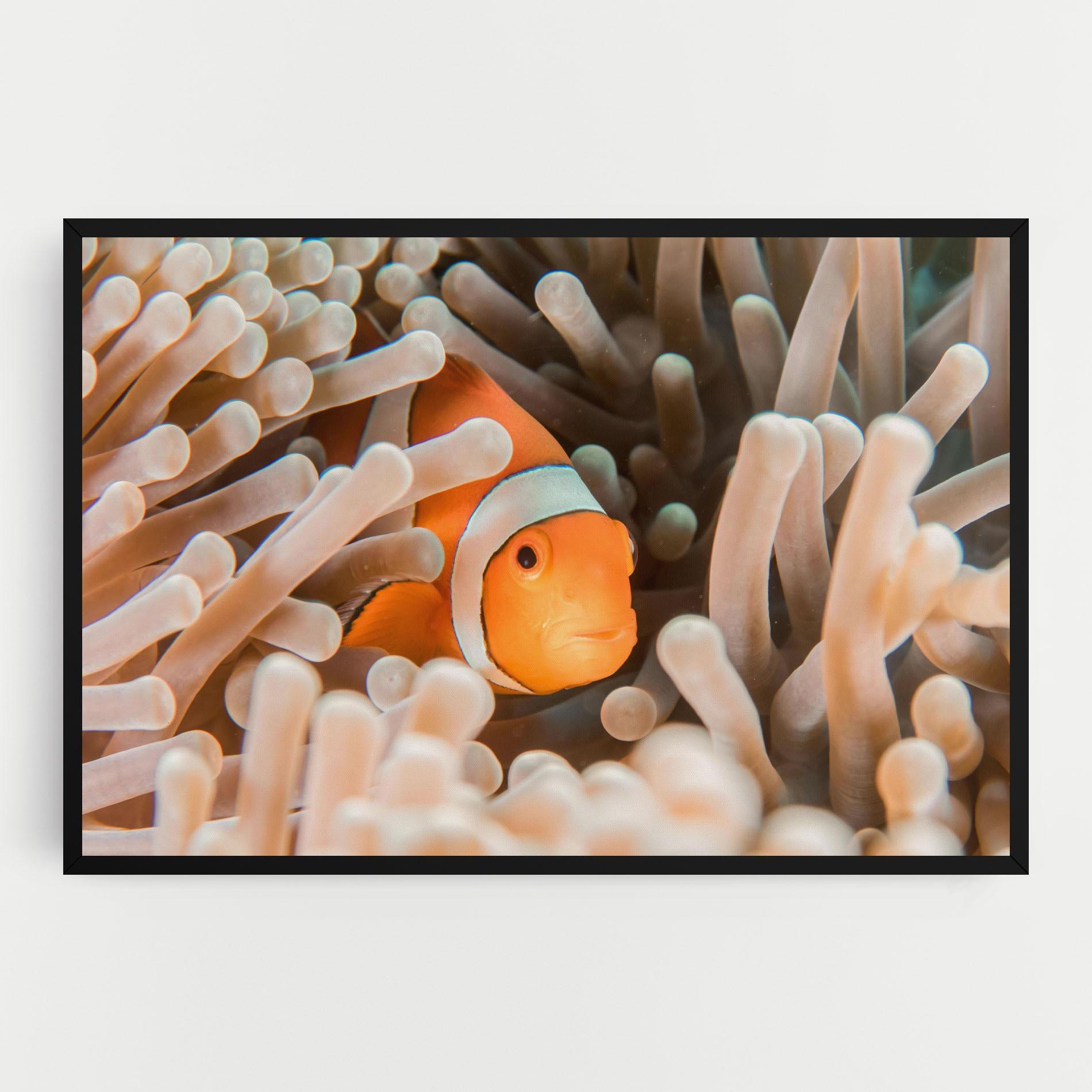 Картина на платно Cute Nemo mockup 0