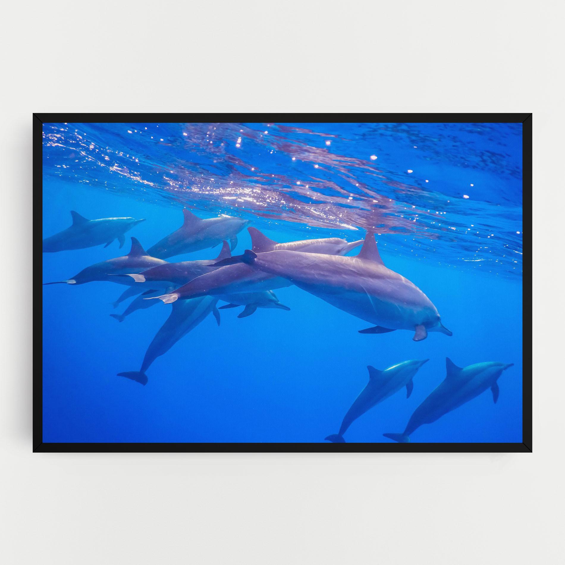Картина на платно Dolphin Family mockup 0