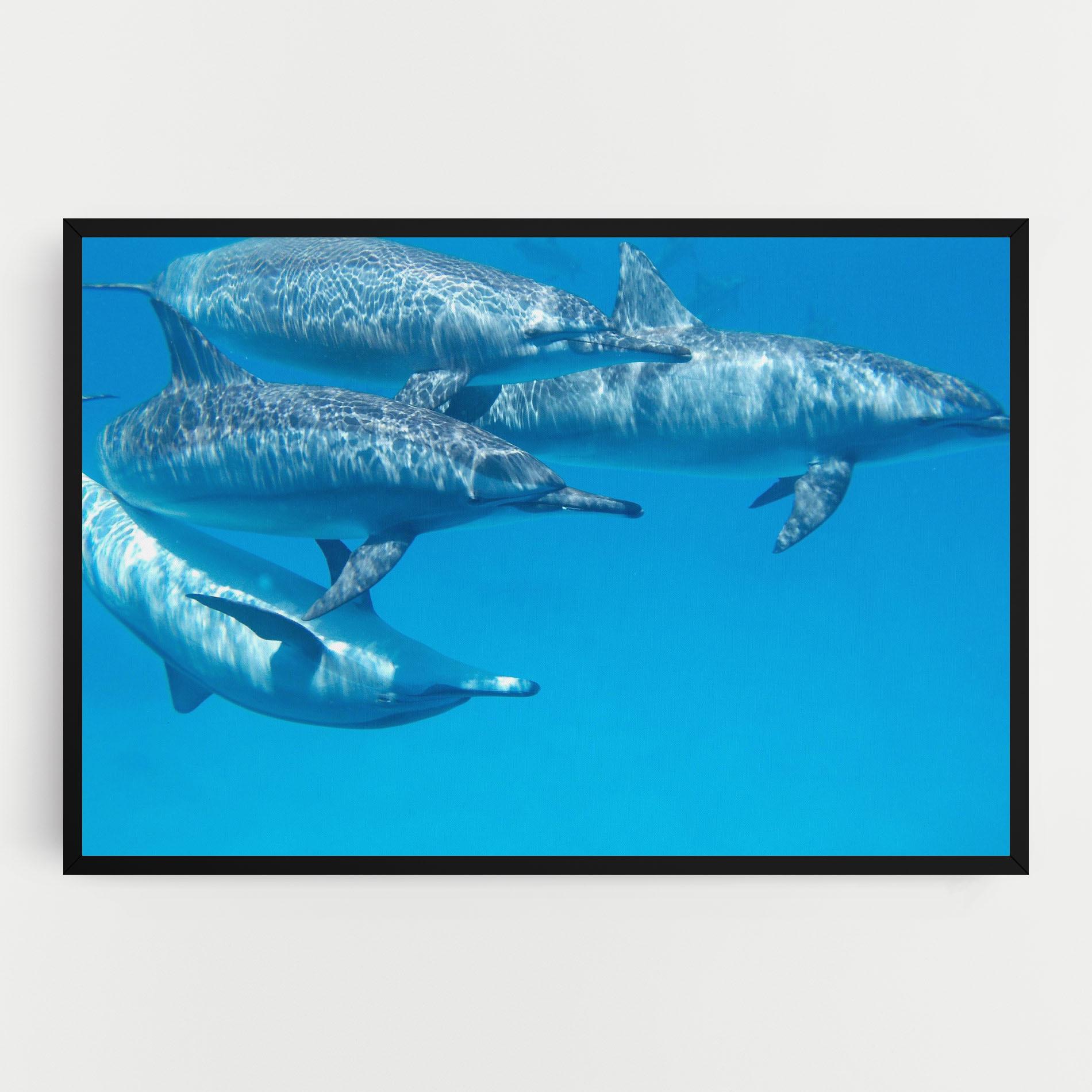 Картина на платно Family Of Dolphins mockup 0
