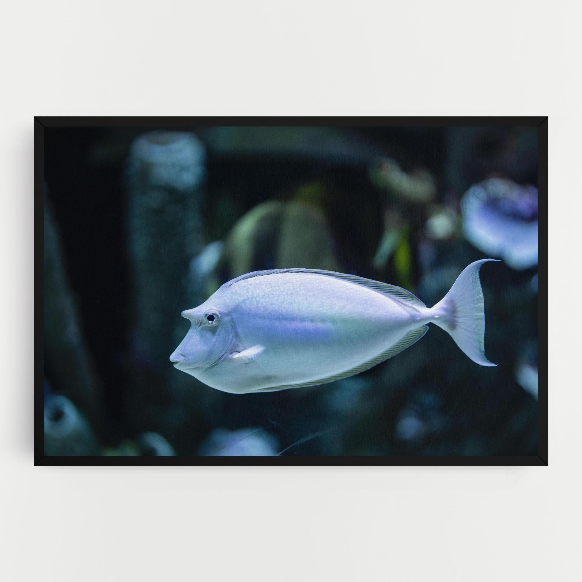 Картина на платно Funny Face Fish mockup 0