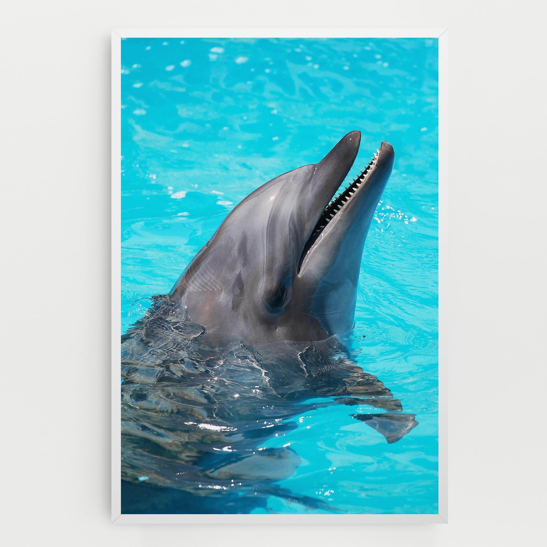 Картина на платно Trained Dolphin mockup 0