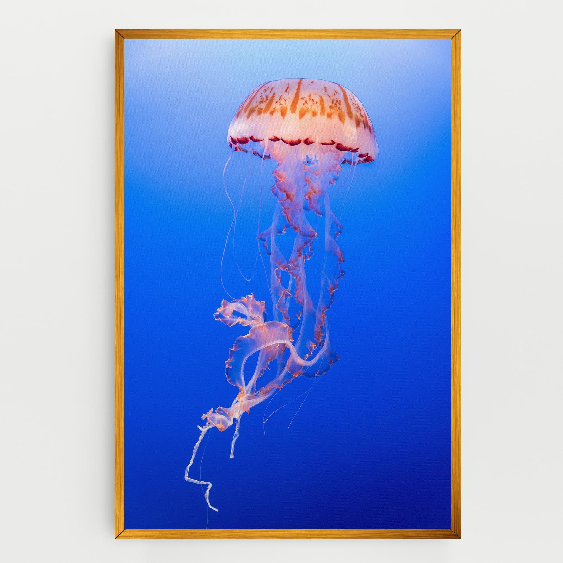Pretty White Jellyfish mockup 0