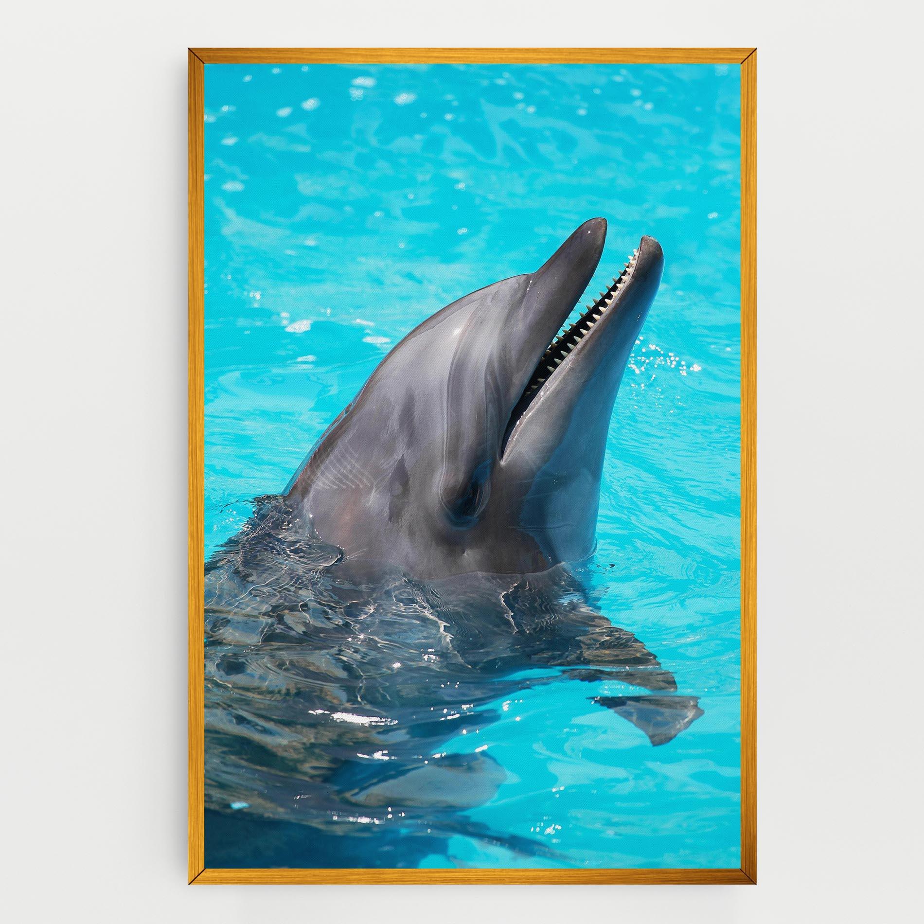 Картина на платно Trained Dolphin mockup 0