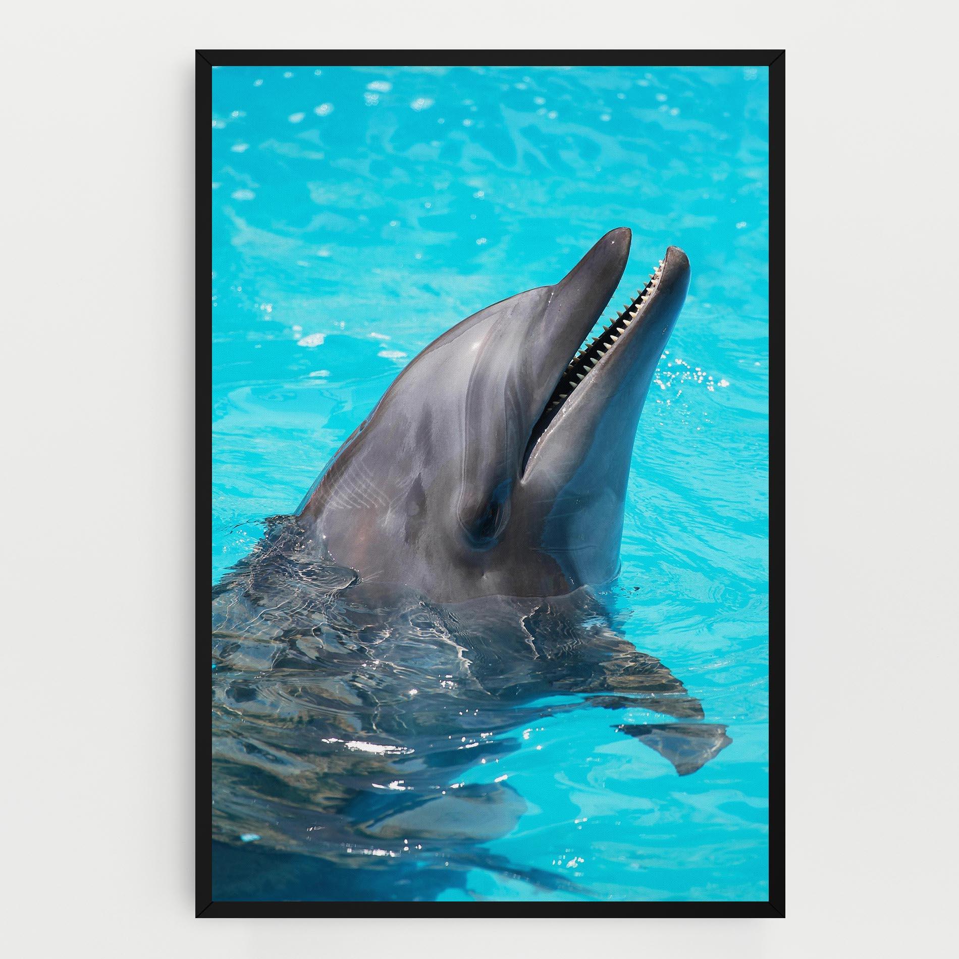 Картина на платно Trained Dolphin mockup 0