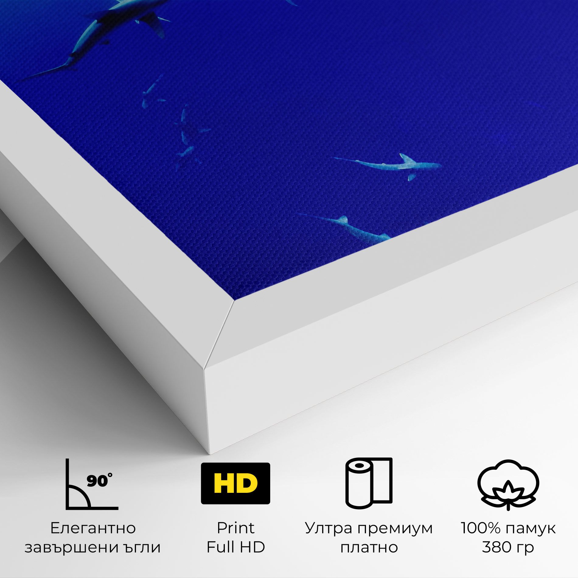 Baby Sharks mockup 4