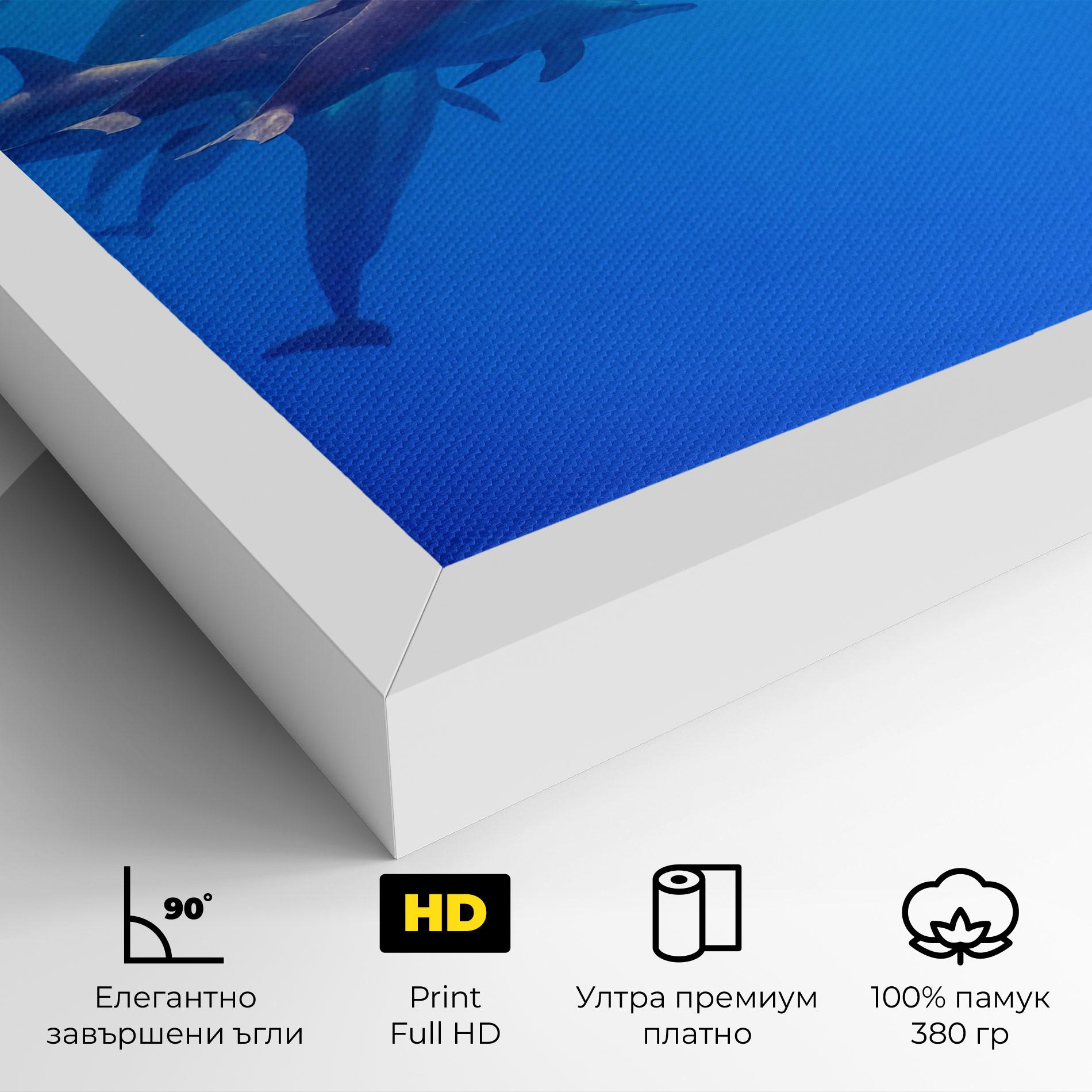 Картина на платно Dolphin Family mockup 4
