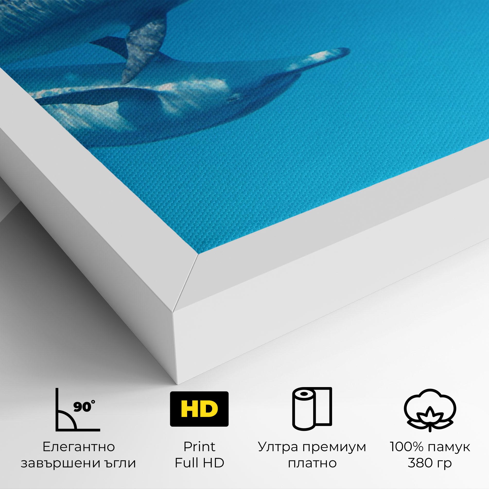 Картина на платно Family Of Dolphins mockup 4