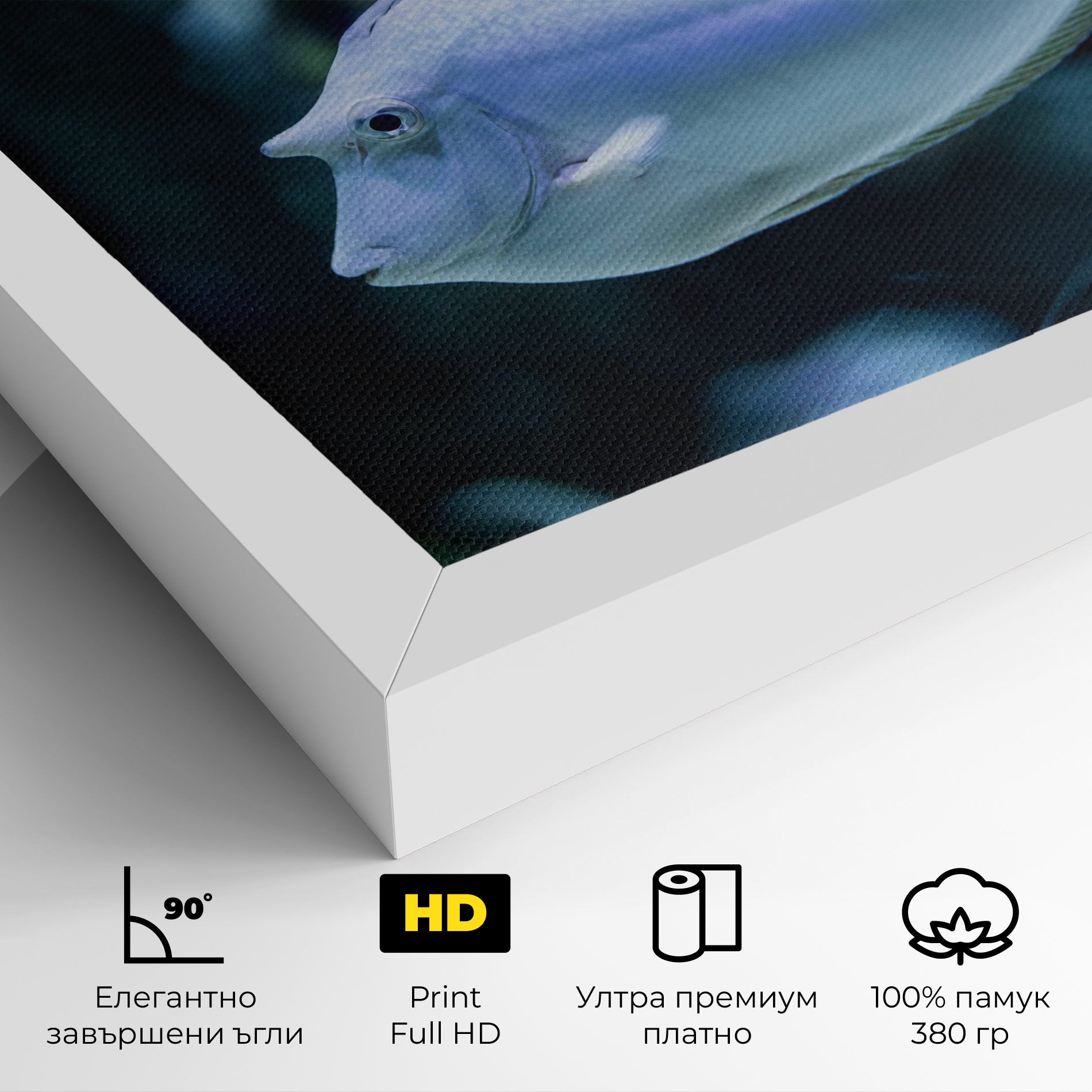 Funny Face Fish mockup 4
