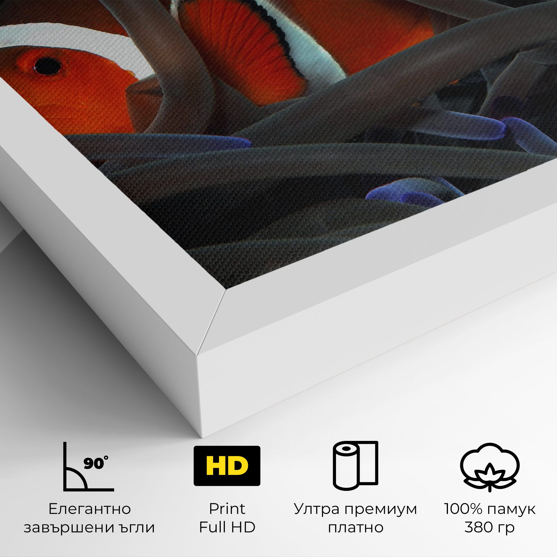 Nemo Hiding mockup 4