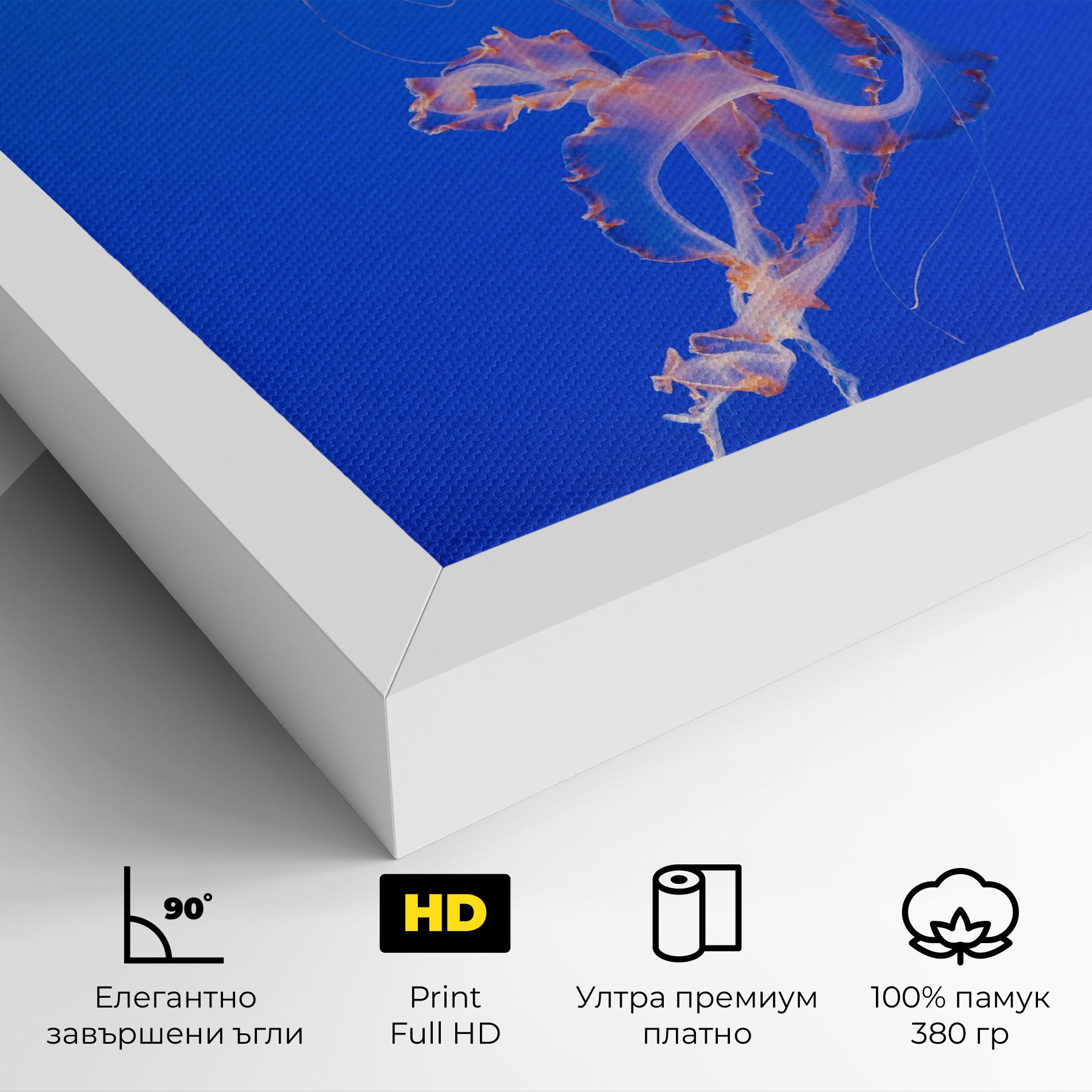 Pretty White Jellyfish mockup 4