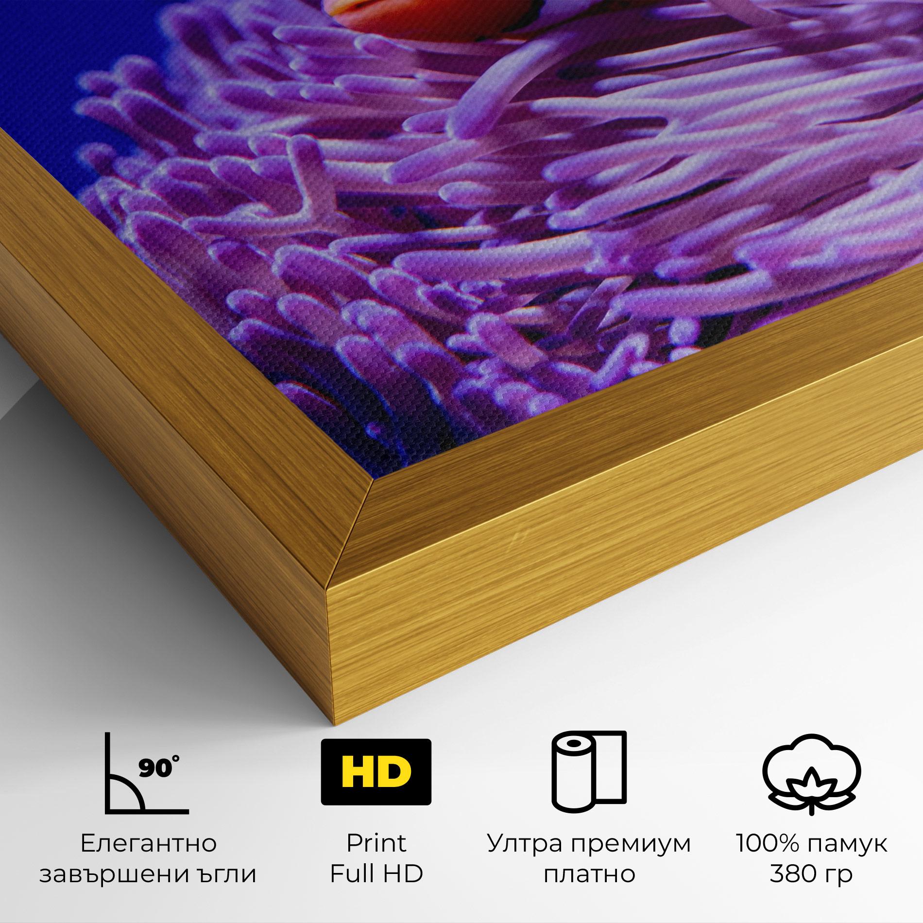 Картина на платно Angry Nemo mockup 4