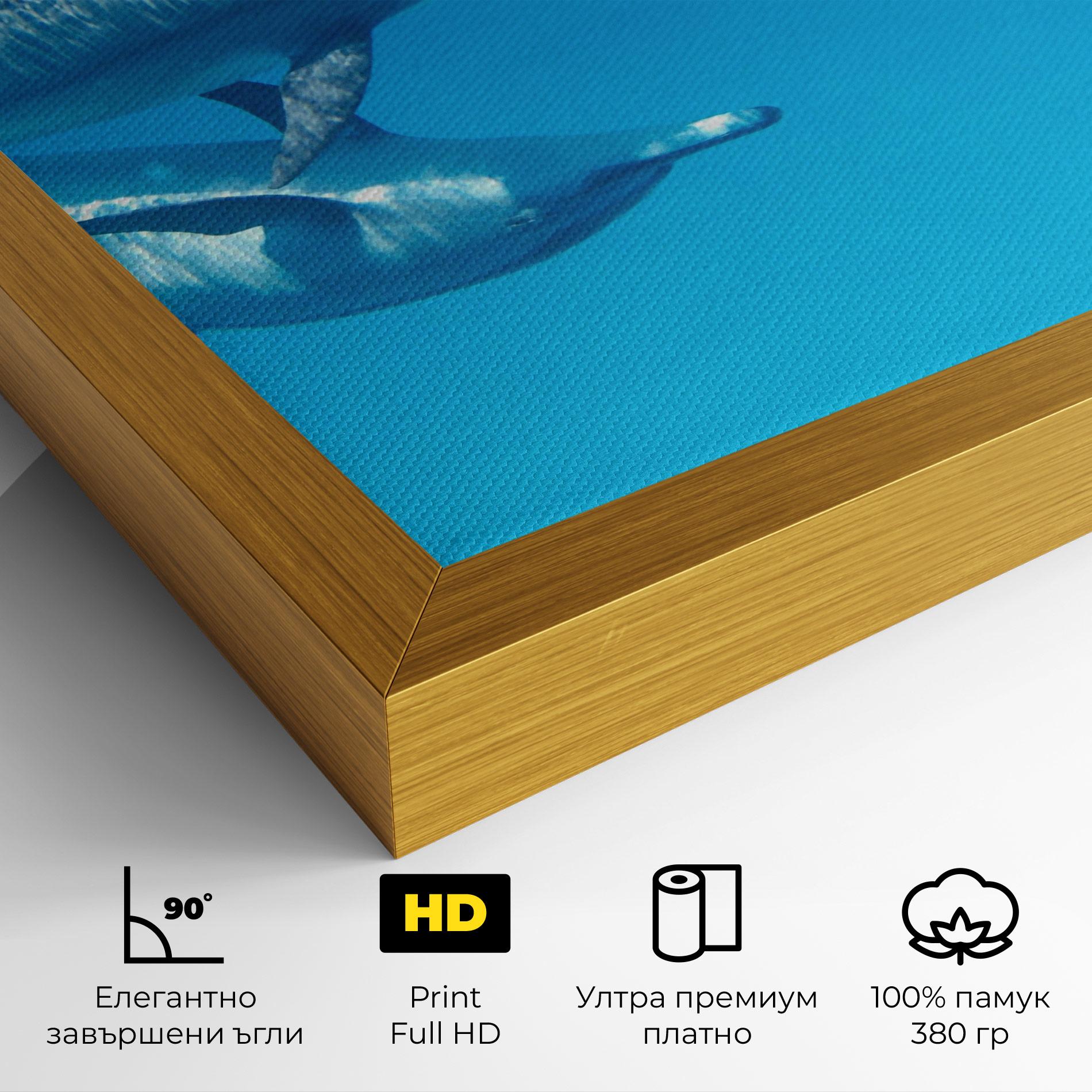 Картина на платно Family Of Dolphins mockup 4