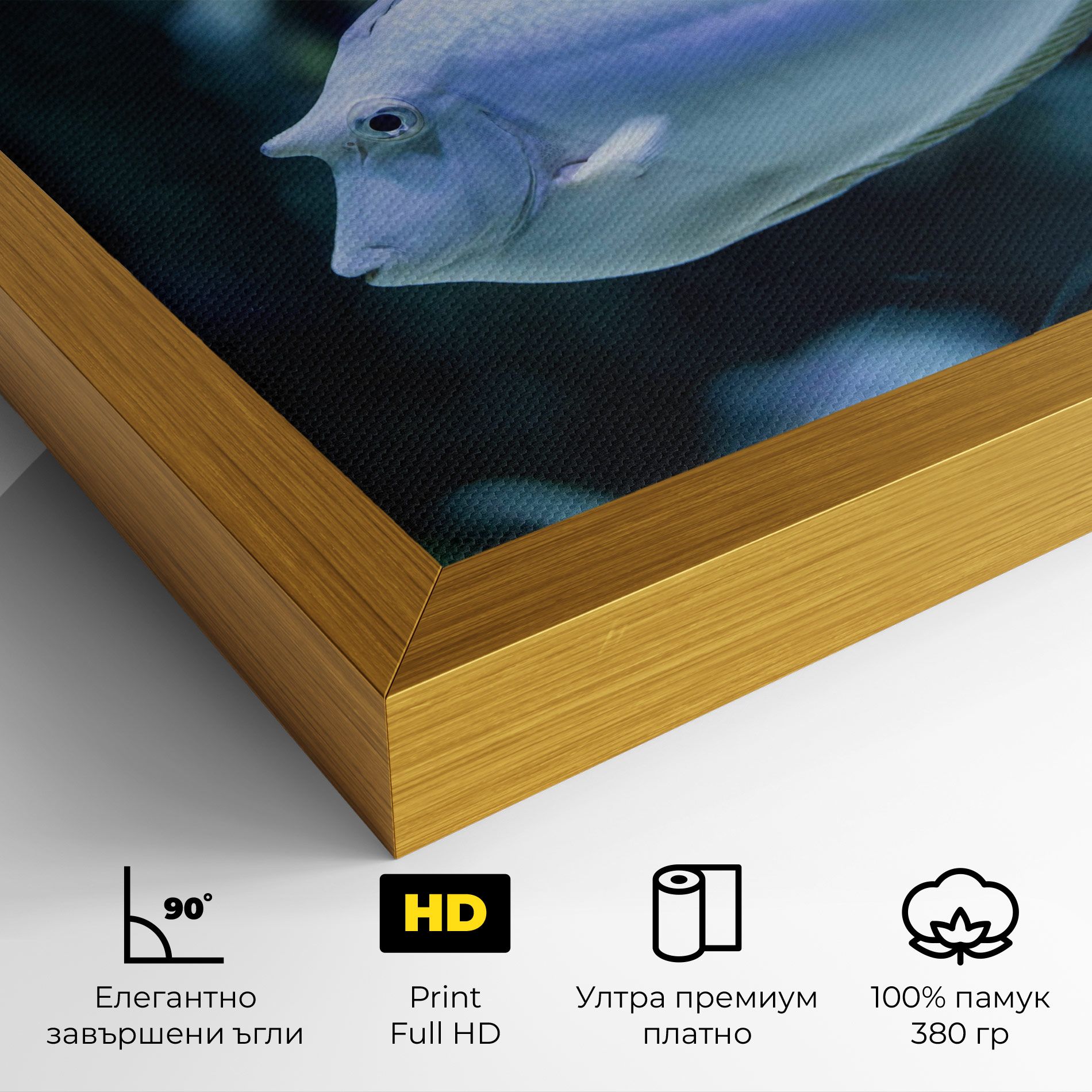 Funny Face Fish mockup 4
