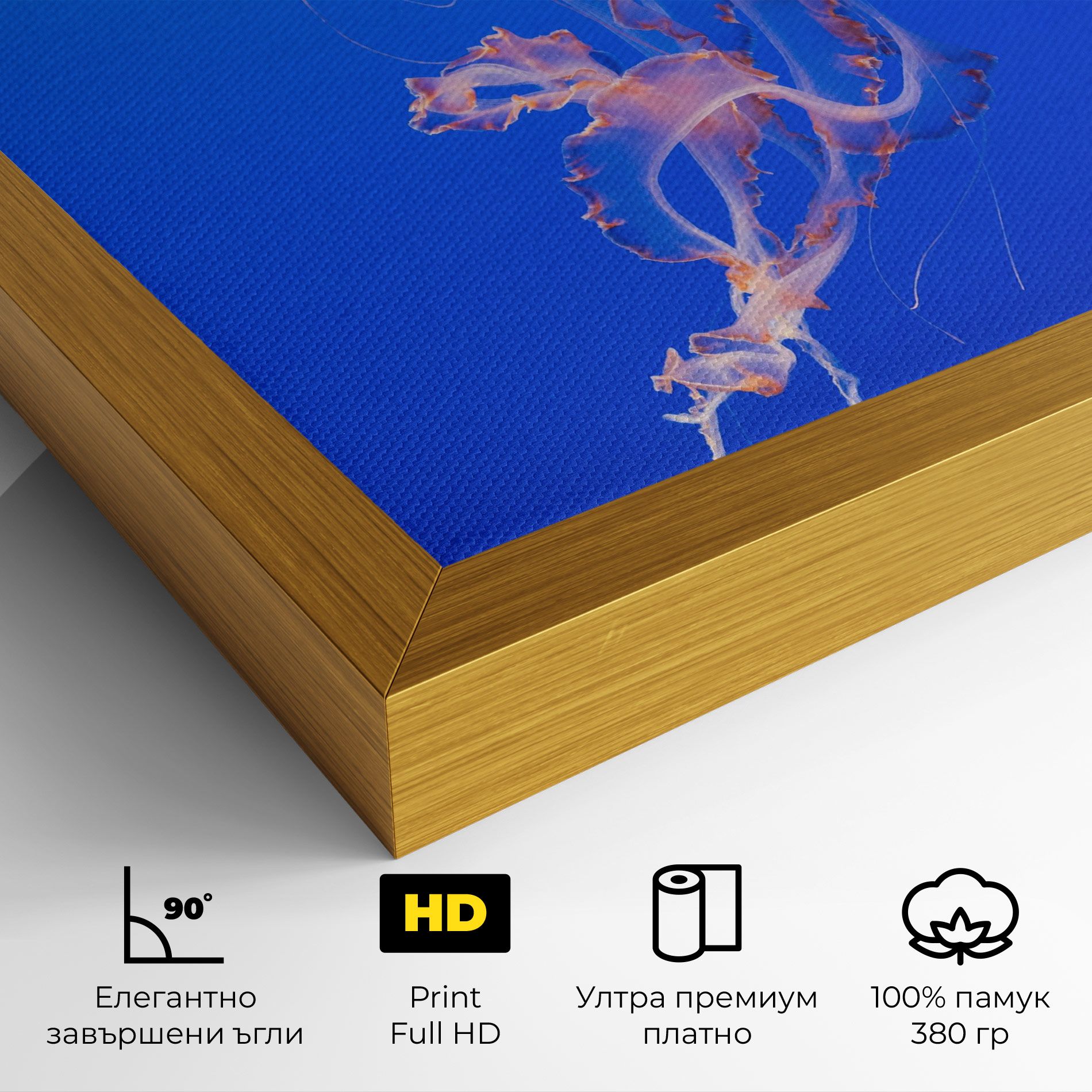 Pretty White Jellyfish mockup 4