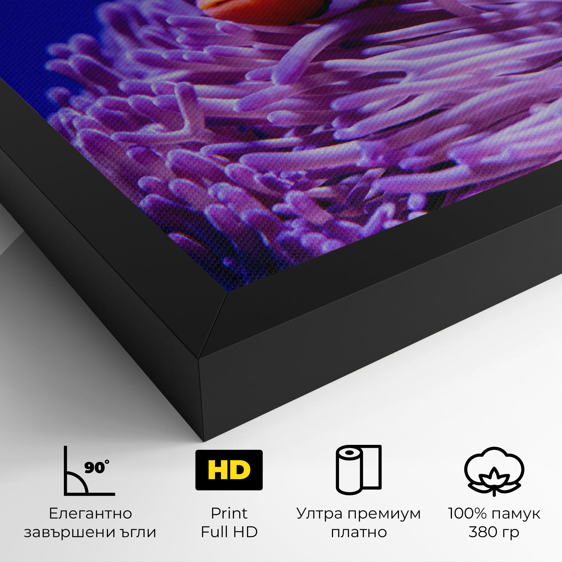 Картина на платно Angry Nemo mockup 4