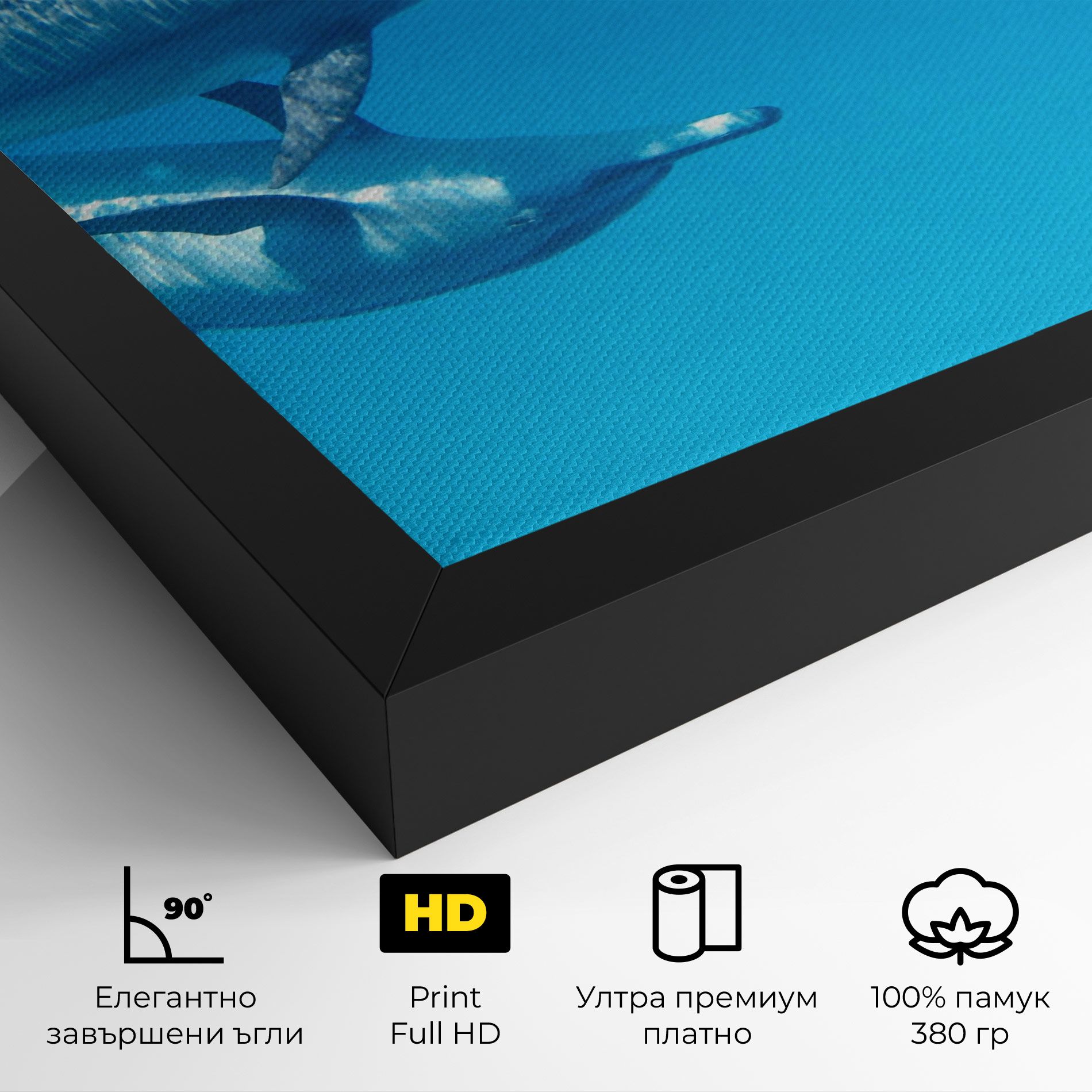 Family Of Dolphins mockup 4