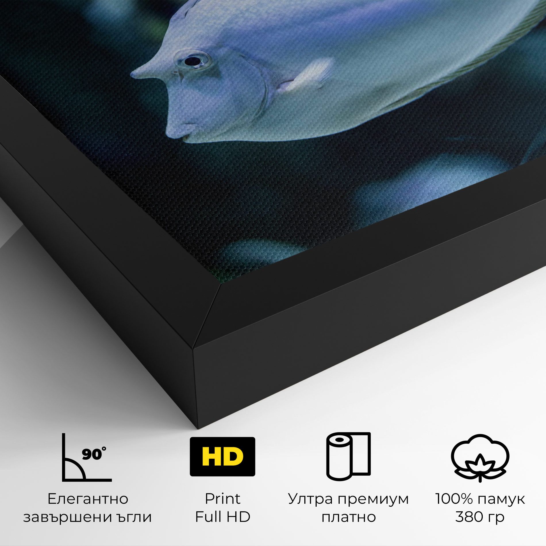Funny Face Fish mockup 4