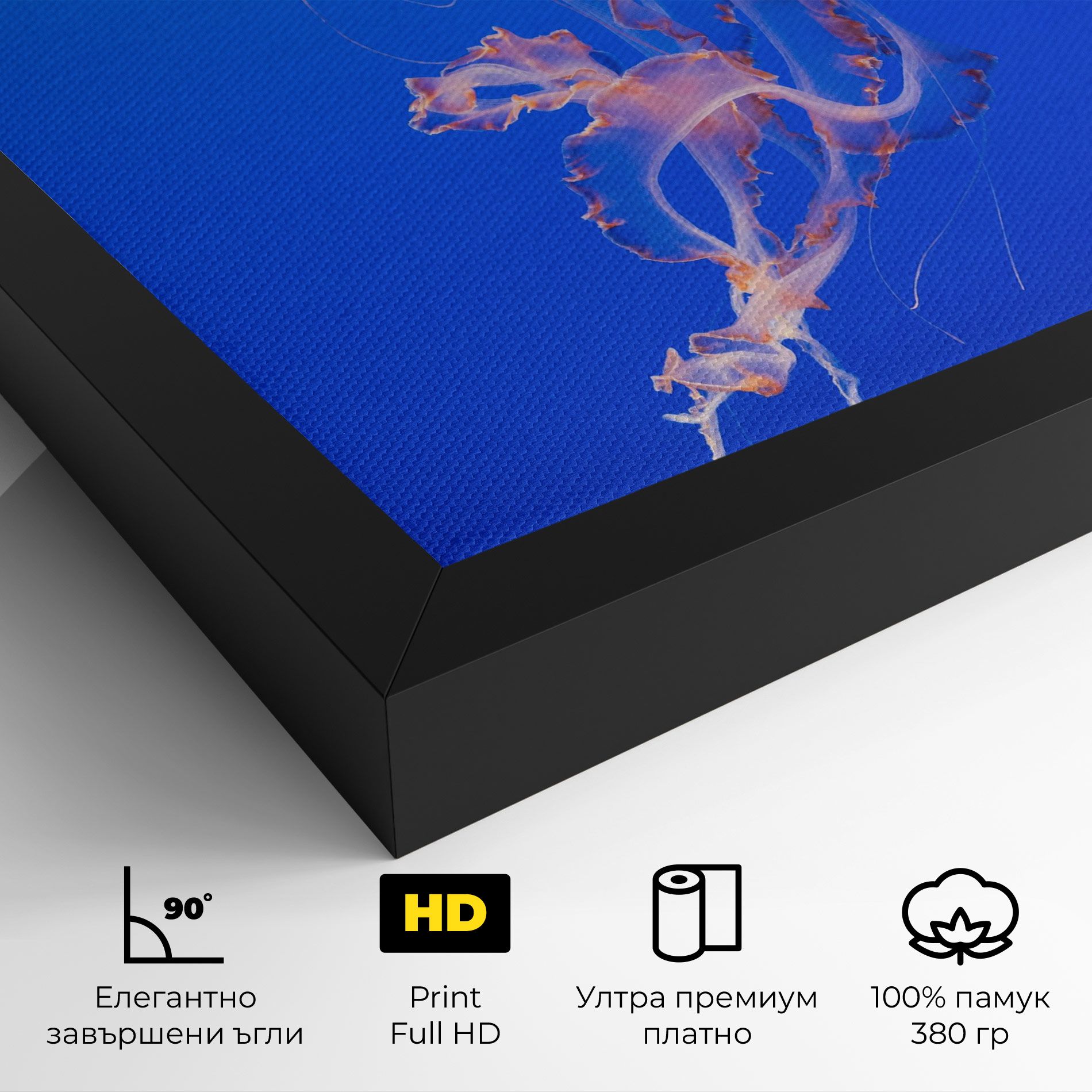 Pretty White Jellyfish mockup 4