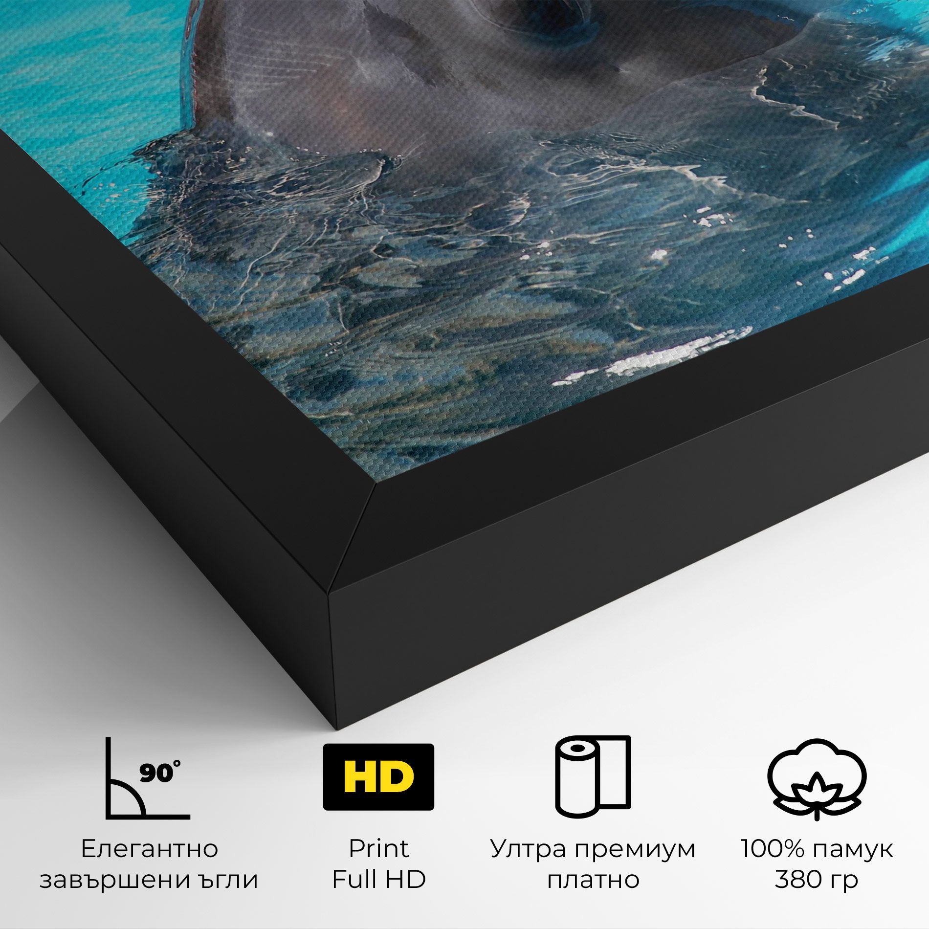 Trained Dolphin mockup 4