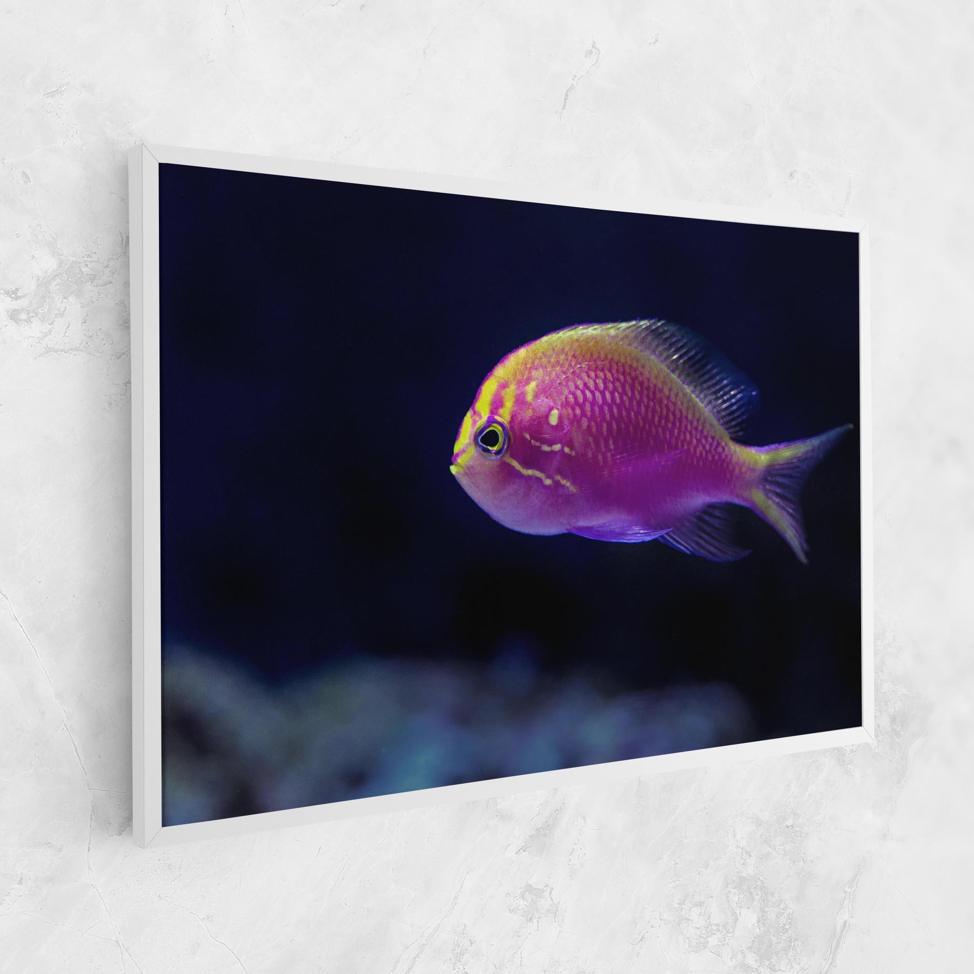 Картина на платно Angry Pink Fish mockup 1